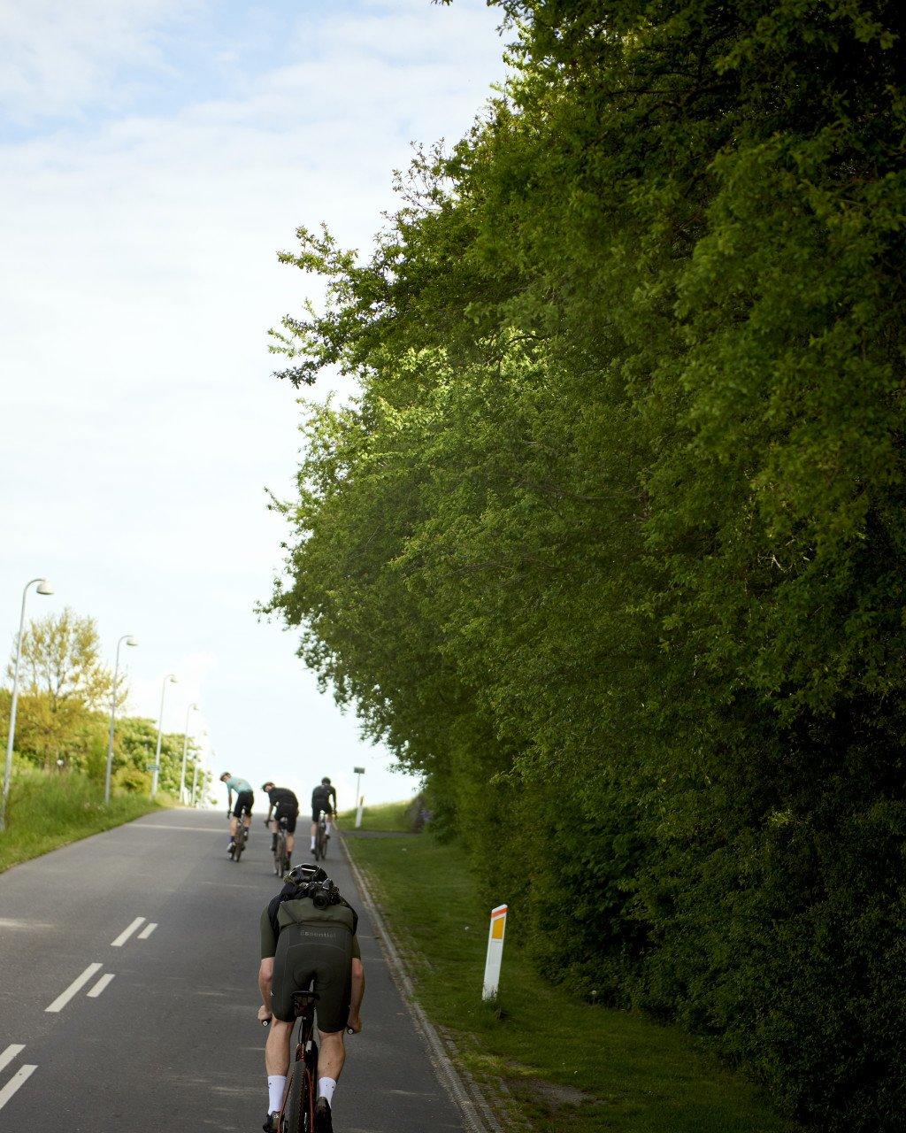 Cyclists in dark green jerseys riding on tree-lined country road