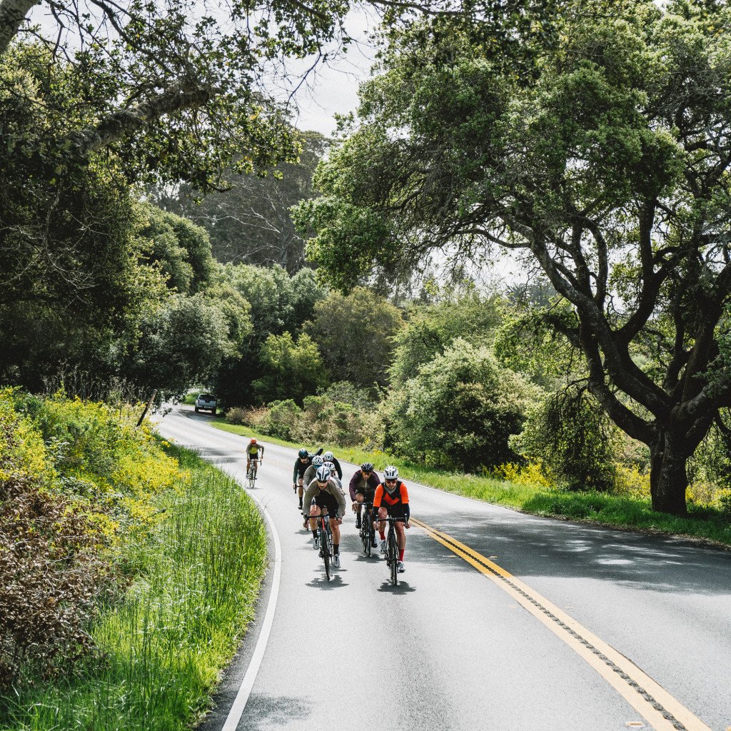 Group of cyclists riding on tree-lined road in Sonoma County