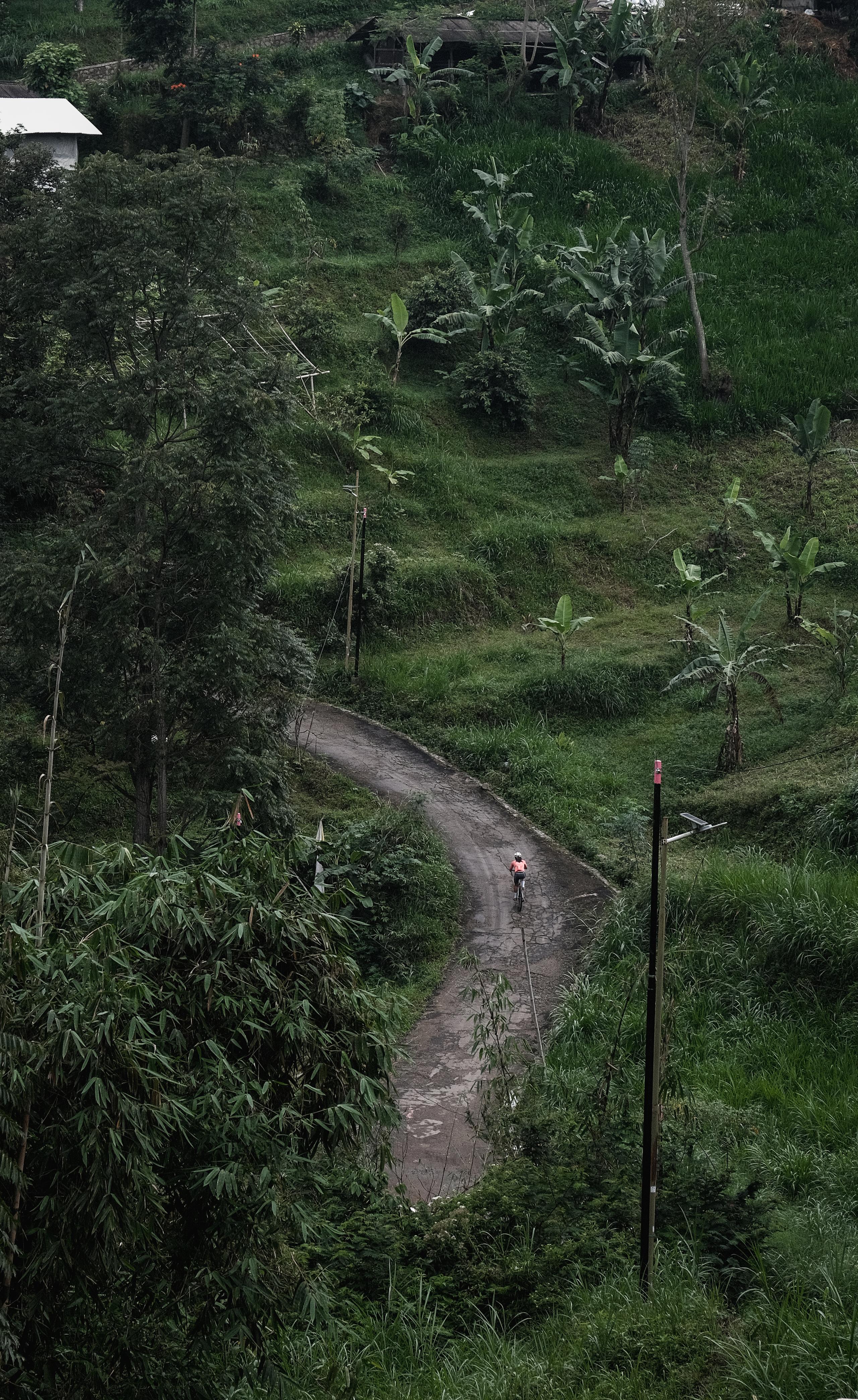 Cyclist on winding dirt road through lush green tropical landscape