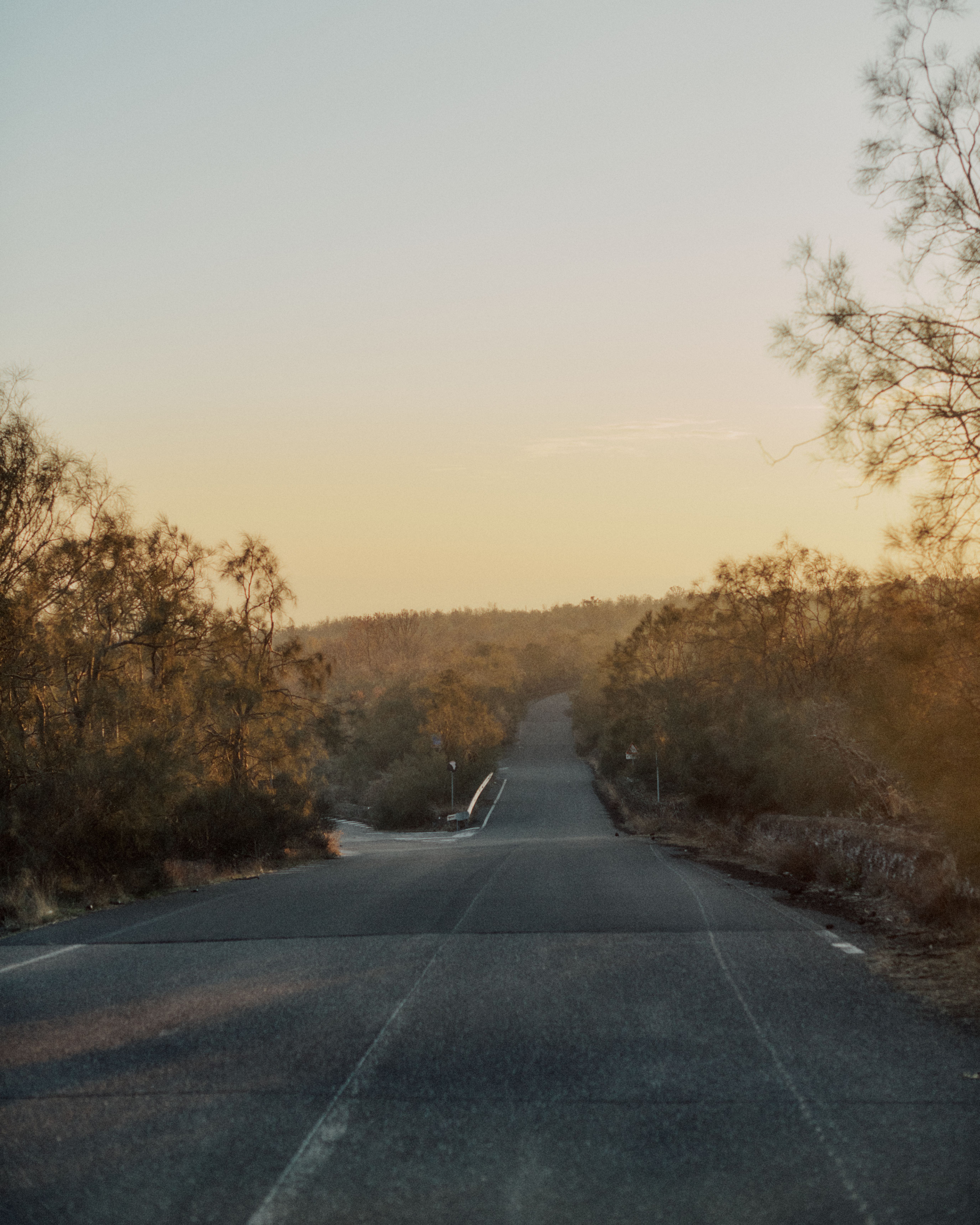 Empty road through rolling hills at sunset with warm golden sky