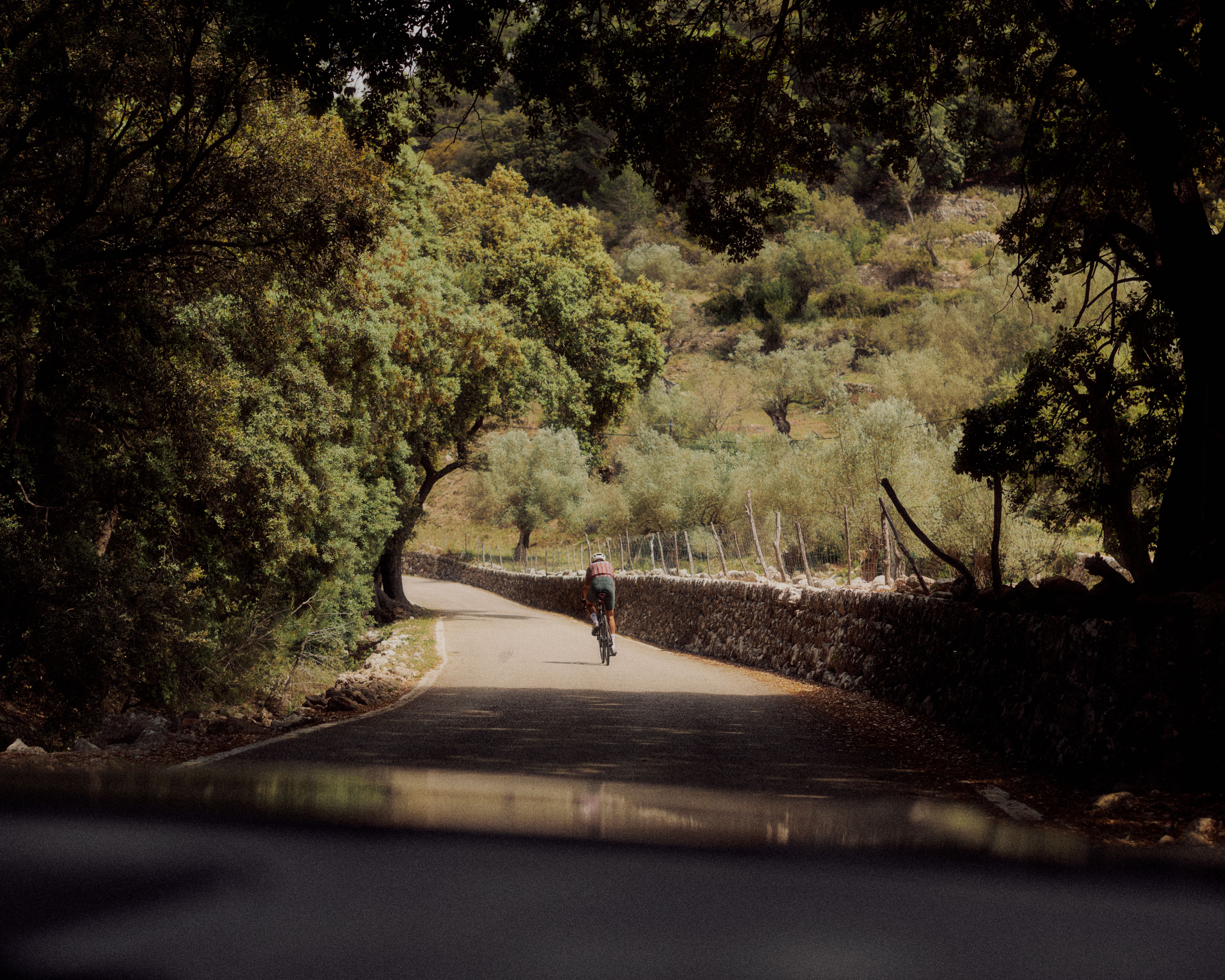 Solitude — Summer 2024 | Pas Normal Studios