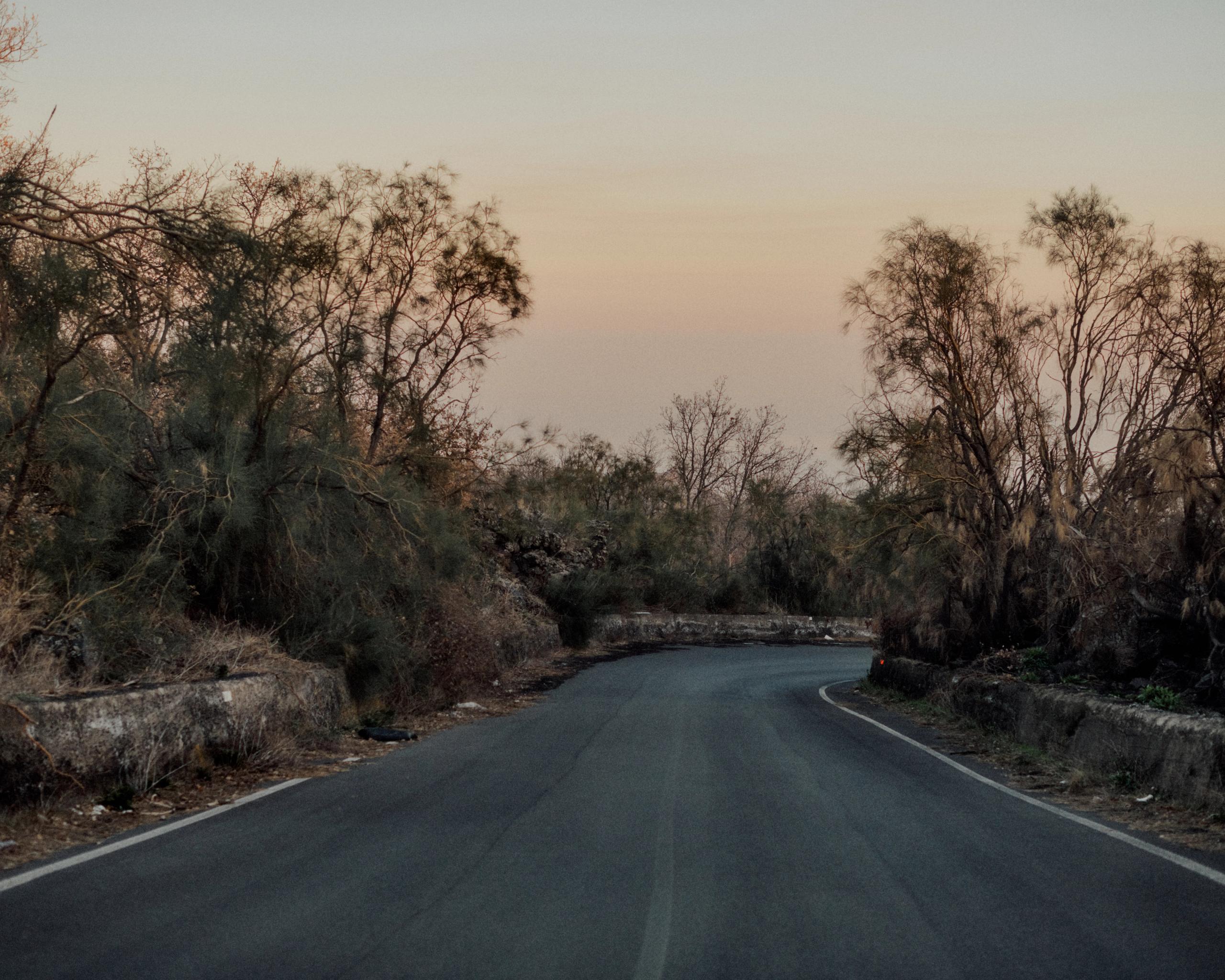 Empty winding road through natural landscape at dusk