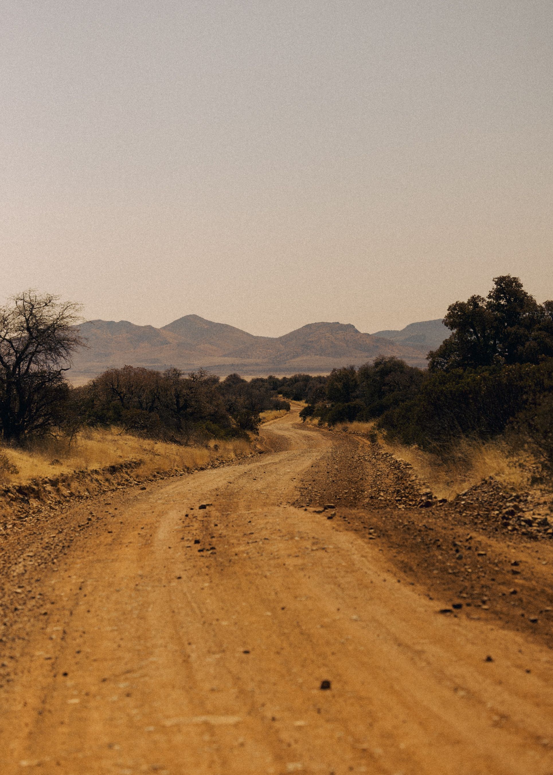 Gravel road winding through desert landscape with mountains in background