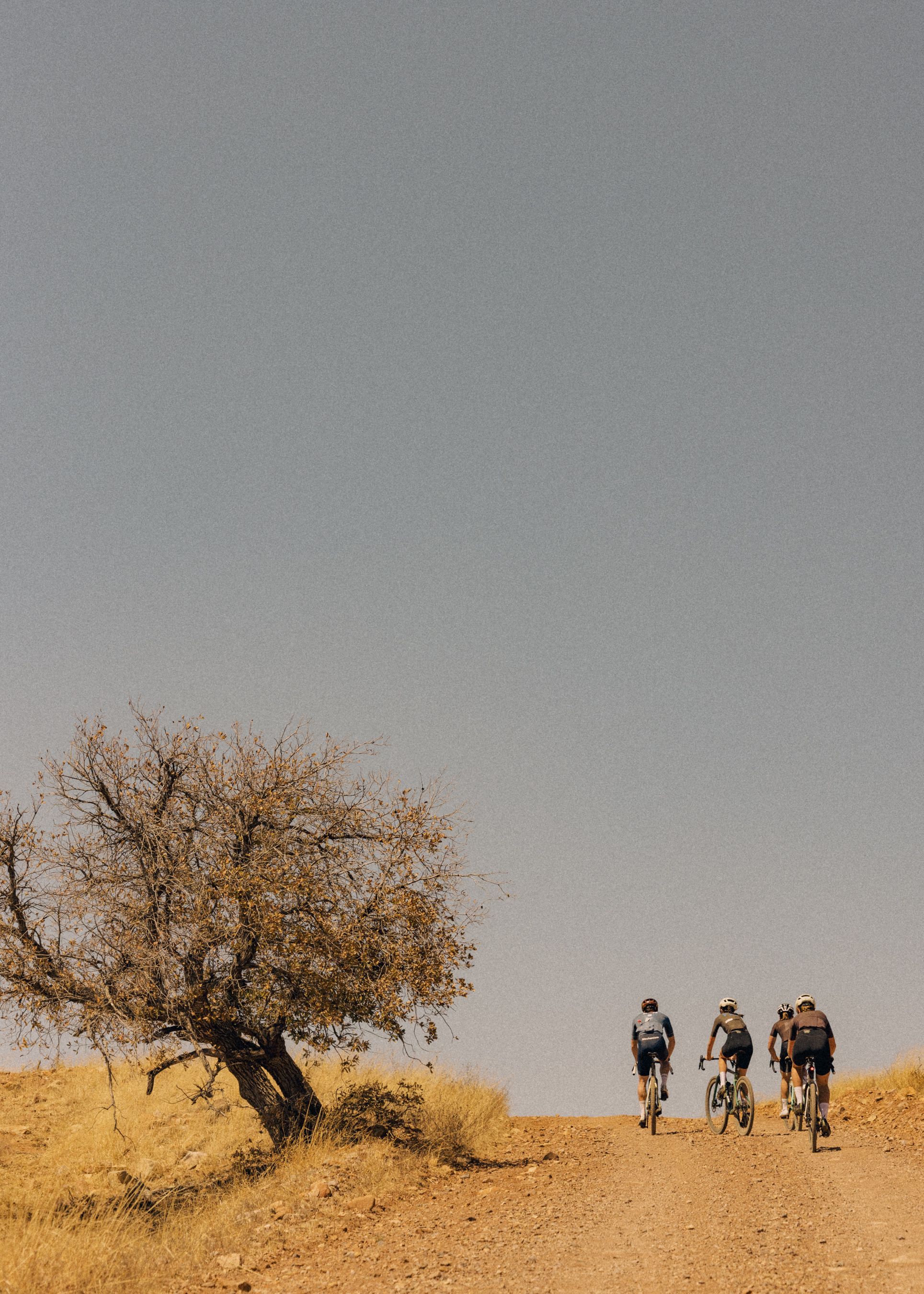 Cyclists riding on dirt road through desert landscape with lone tree