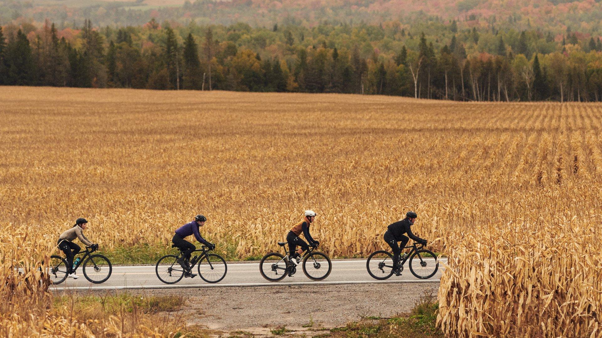 Four cyclists riding on rural road through golden autumn countryside with harvested field and forest