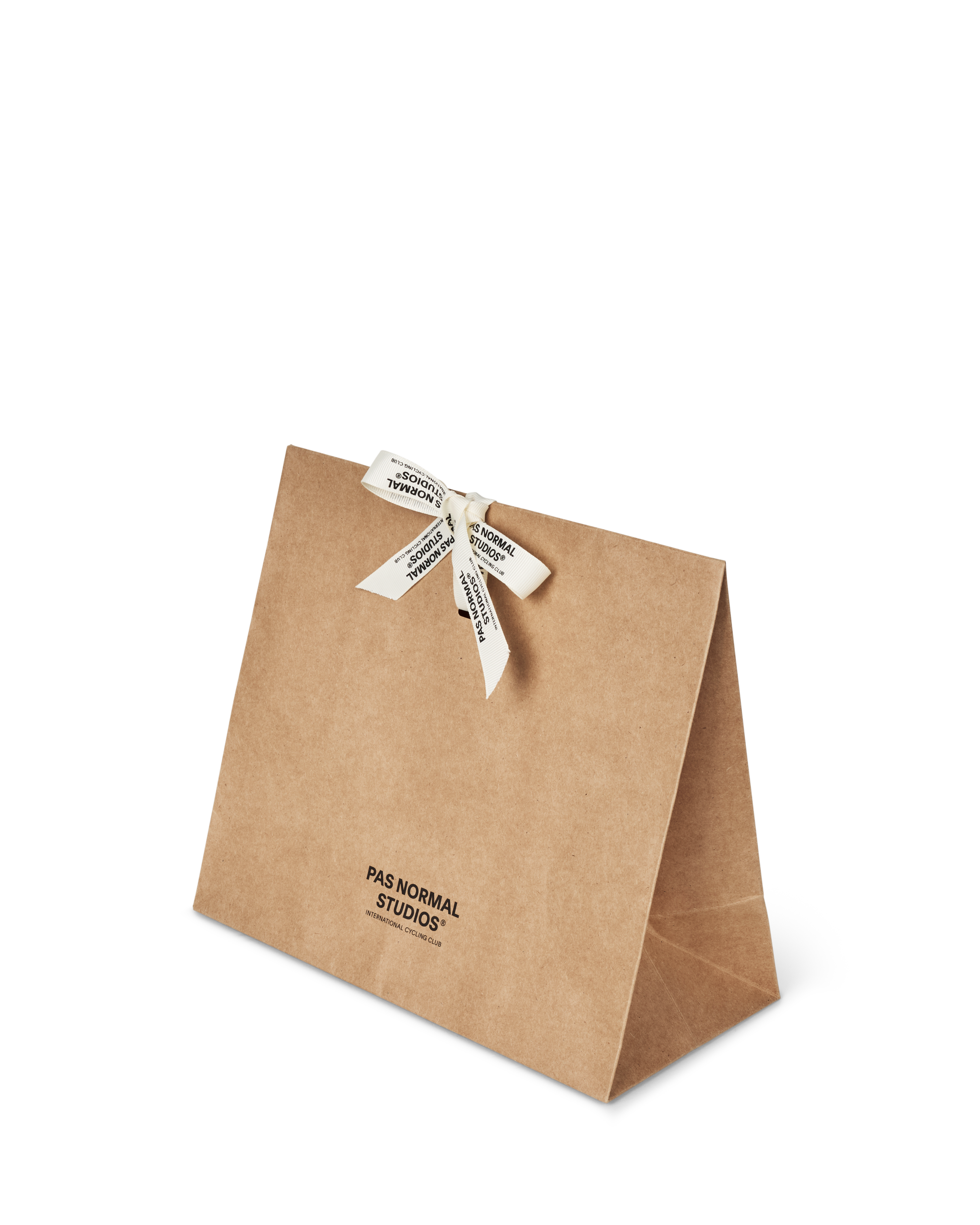 Brown paper gift bag with ribbon handles and branded logo