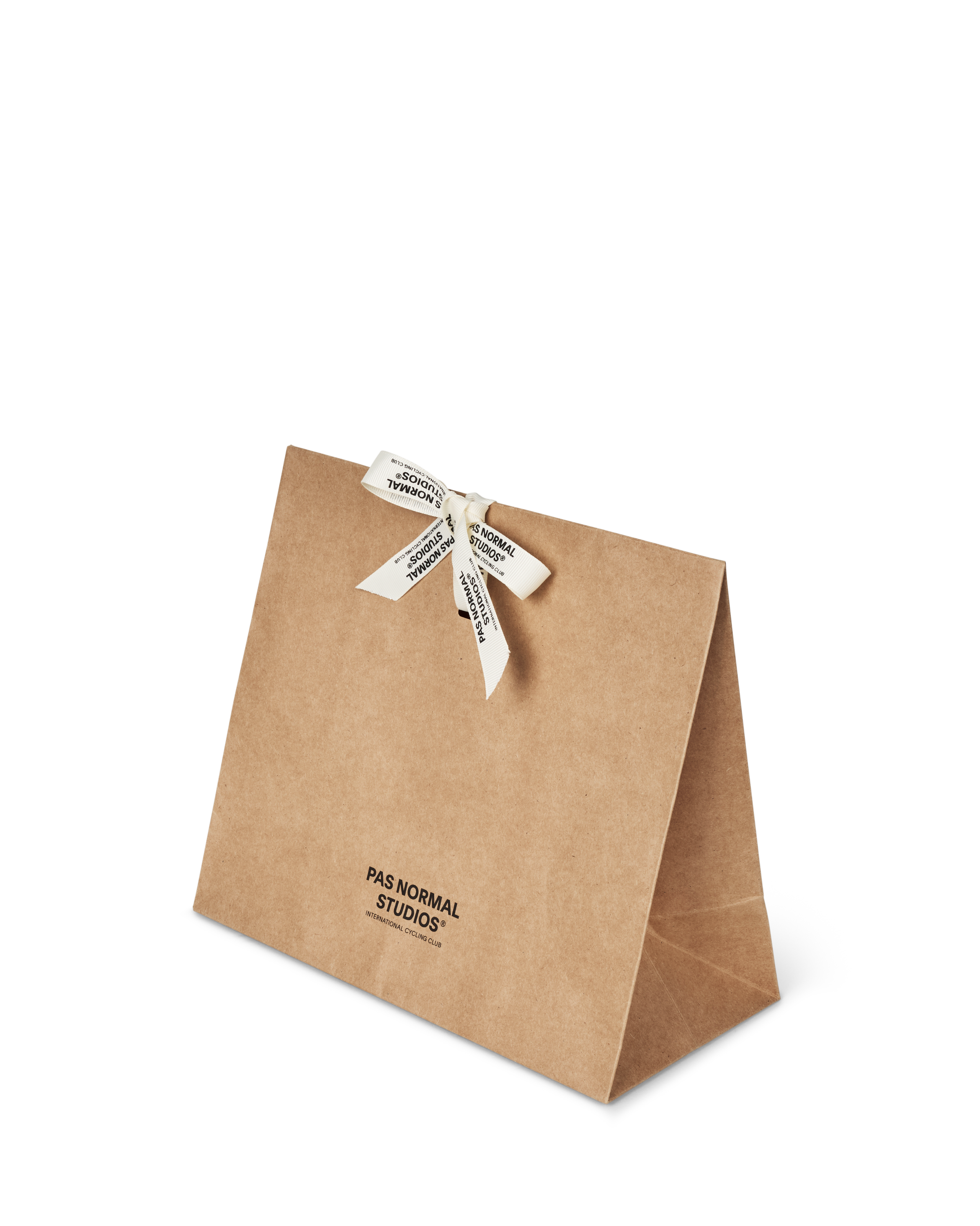 Brown paper gift bag with ribbon handles and branded logo