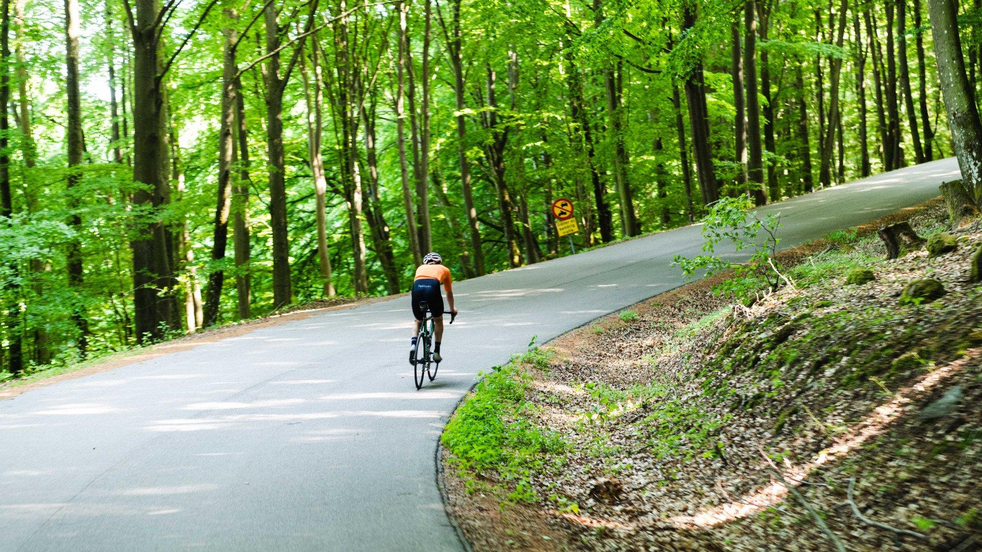 Cyclist in orange jersey and black shorts riding uphill through forested road in Skåne