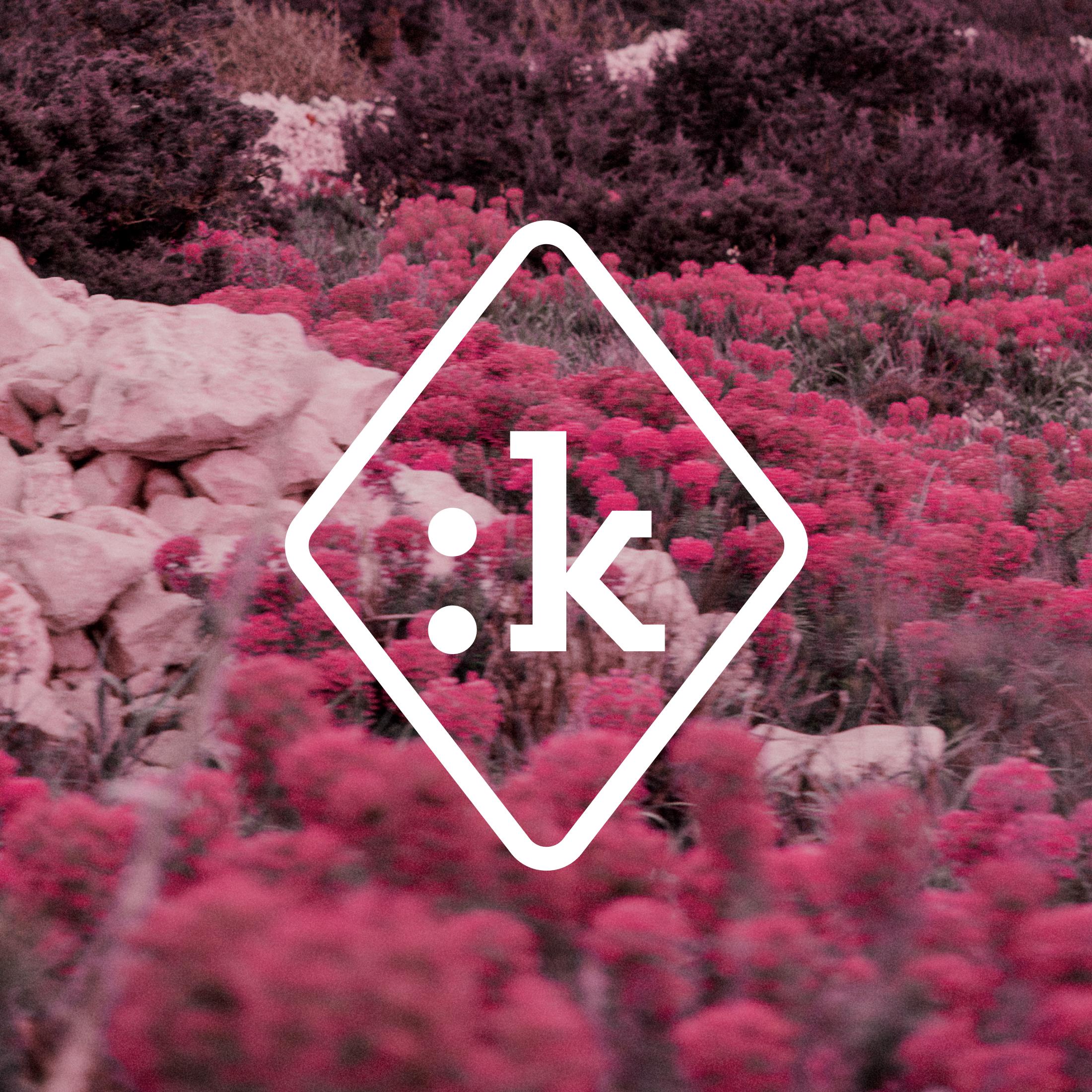 Pas Normal Studios x Fizik collaboration logo over infrared landscape with pink vegetation and rocks