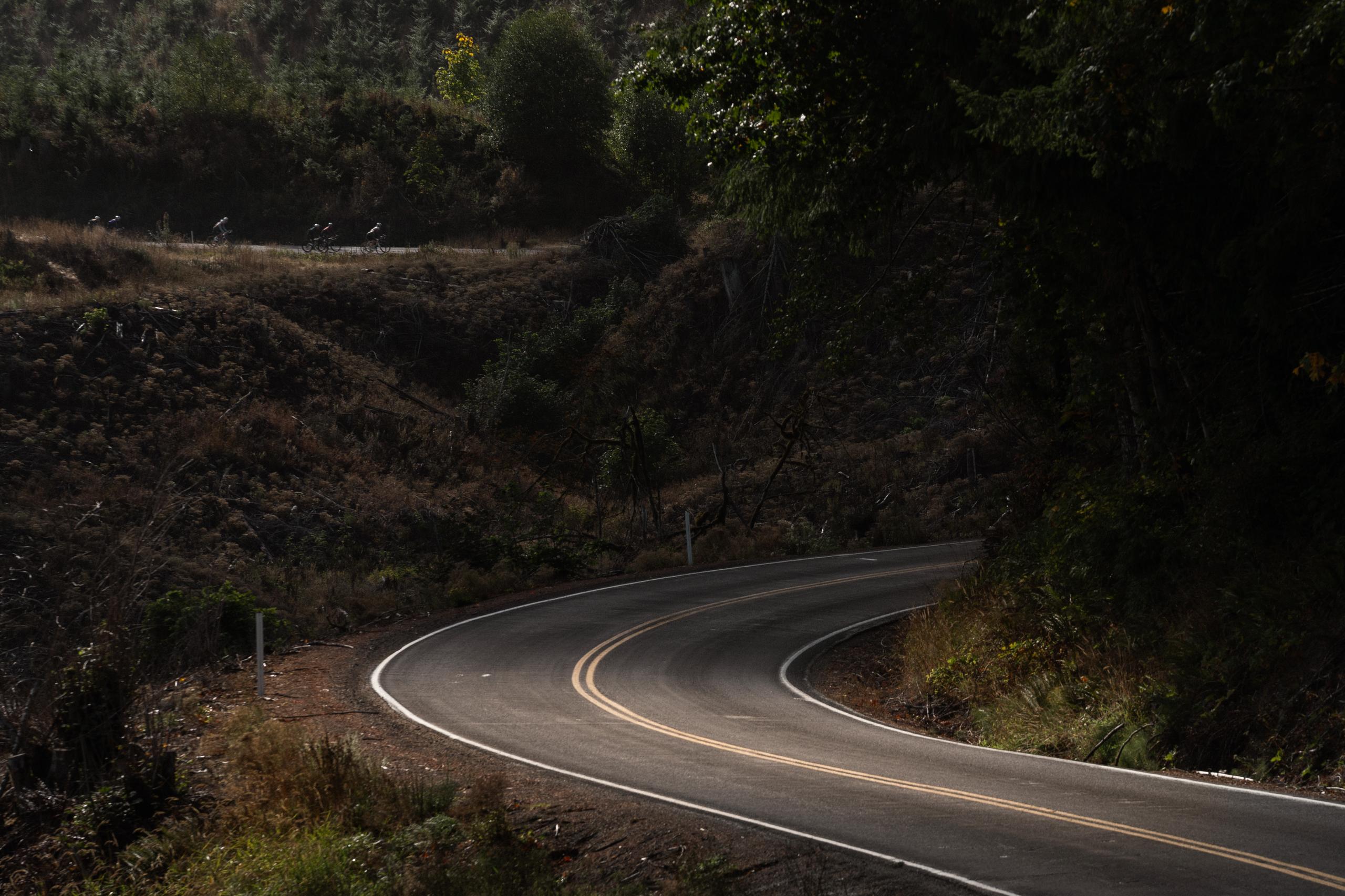 Winding mountain road through forested hillside with double yellow lines