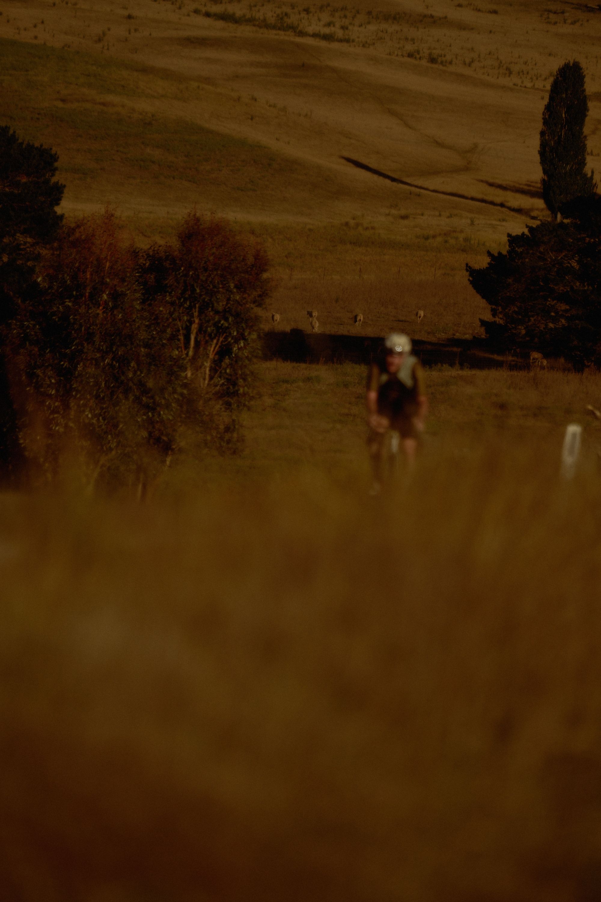 Cyclist with headlight riding through flooded rural road at dusk with rolling hills and trees