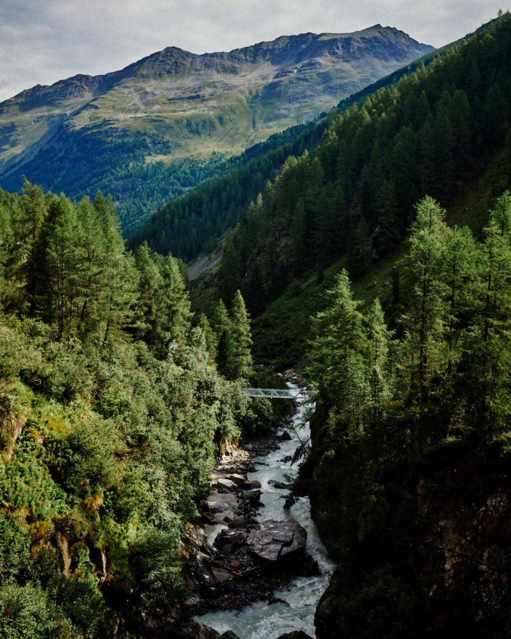 Mountain landscape with river flowing through forested valley and peaks in background