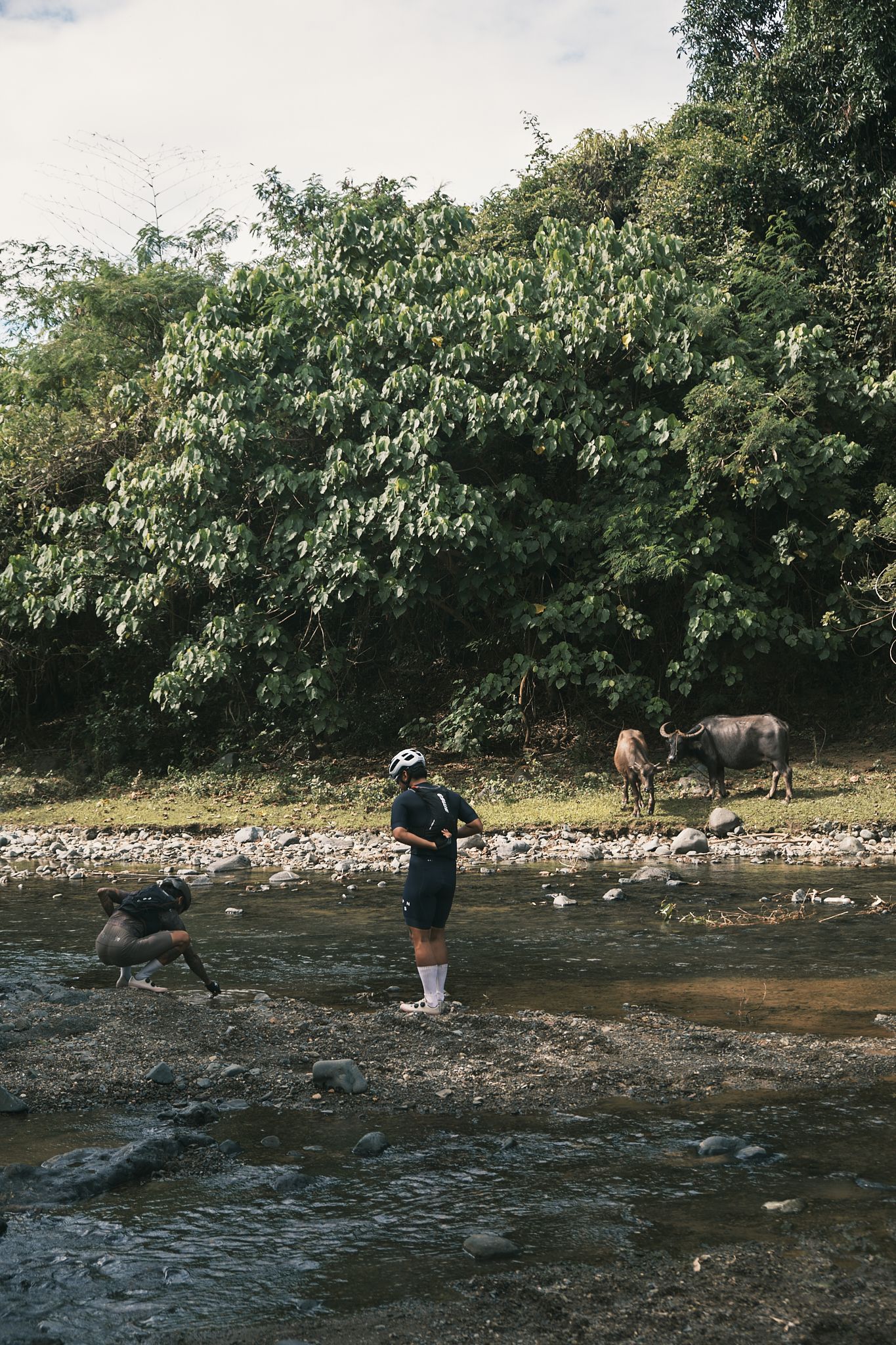 Cyclists by rural stream with cattle grazing on hillside in natural landscape setting