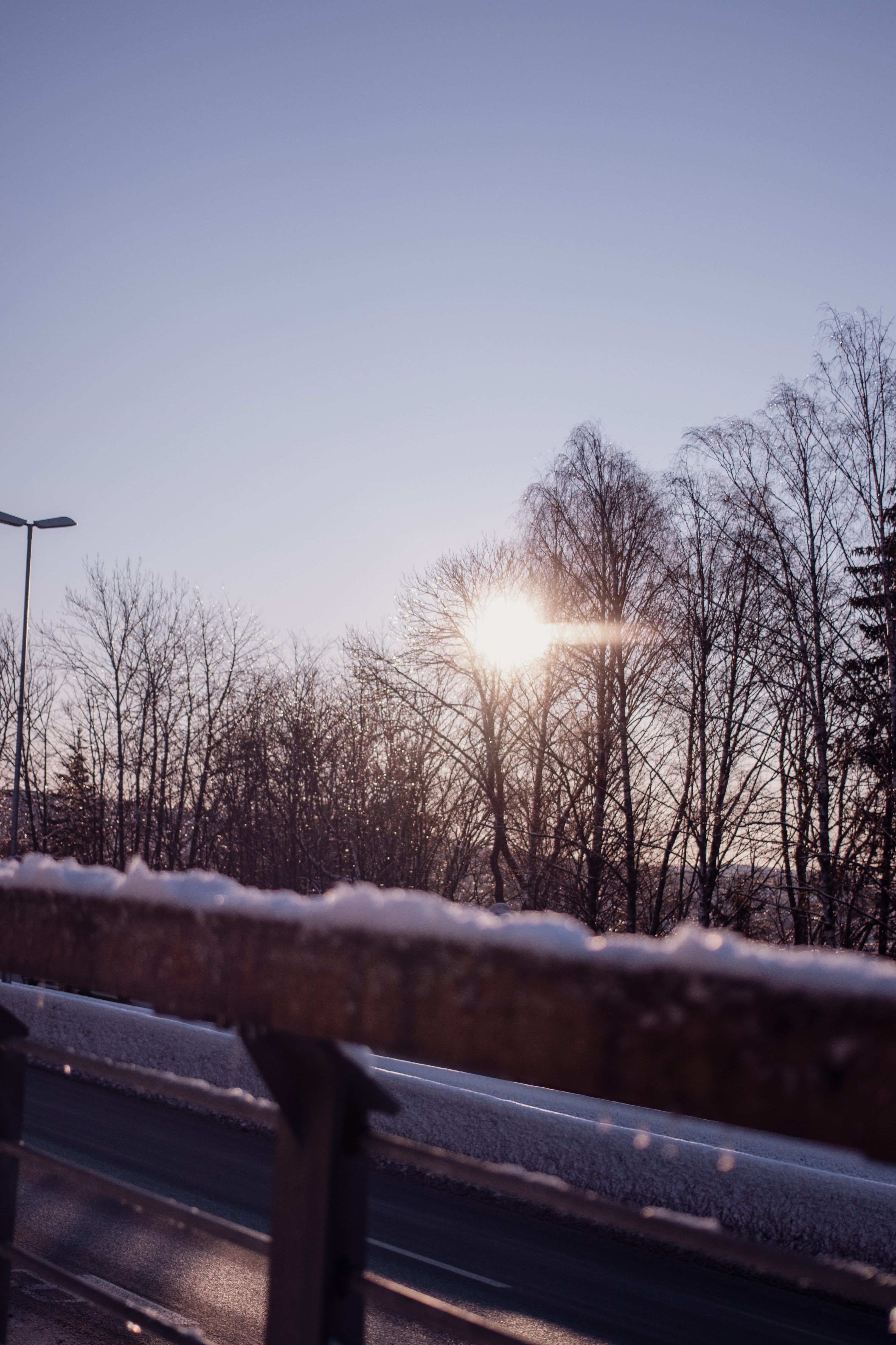 Winter landscape with snow-covered trees and sun breaking through branches at sunset