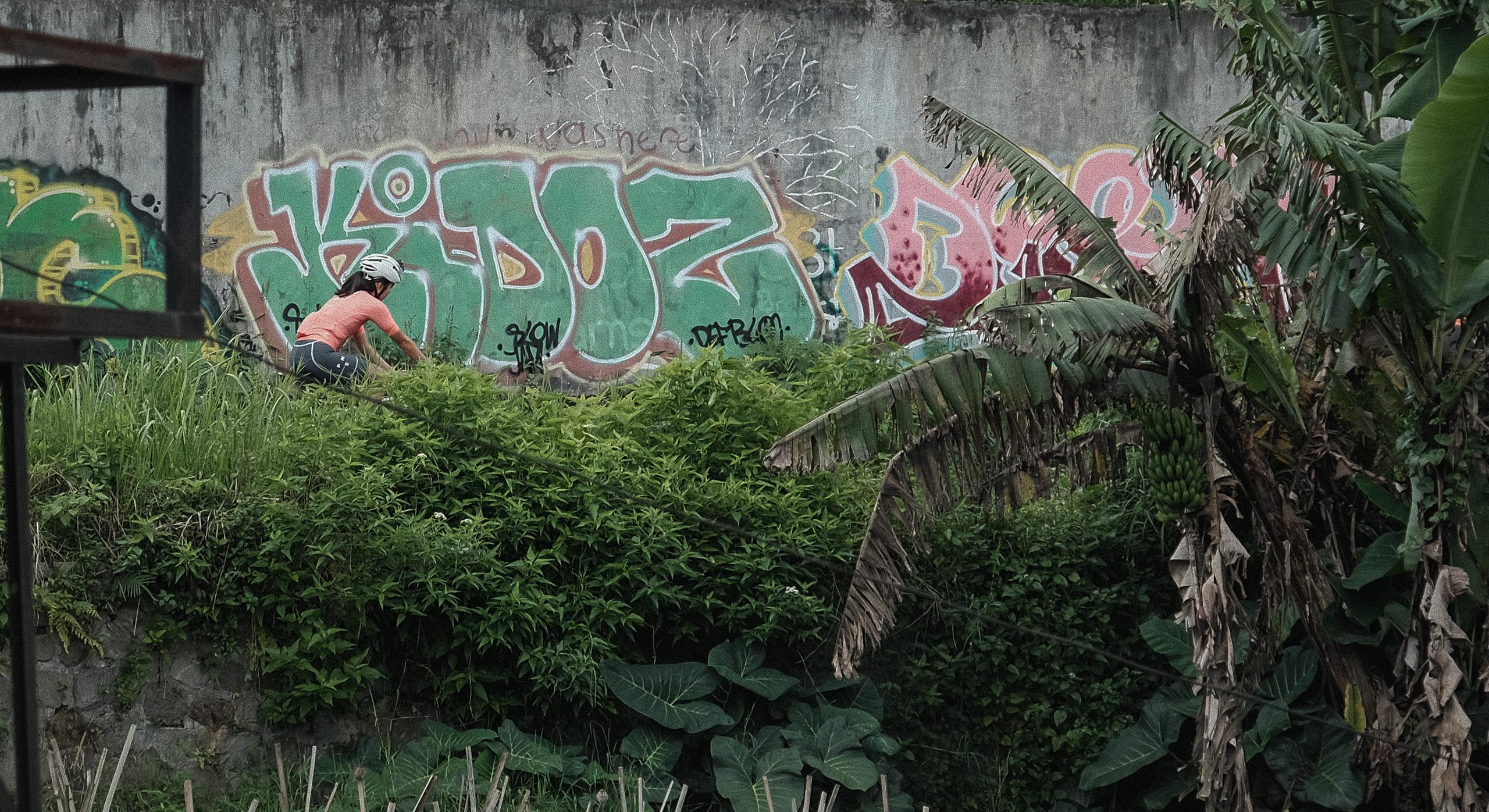 Model wearing pink cycling jersey riding along graffitied wall surrounded by tropical vegetation