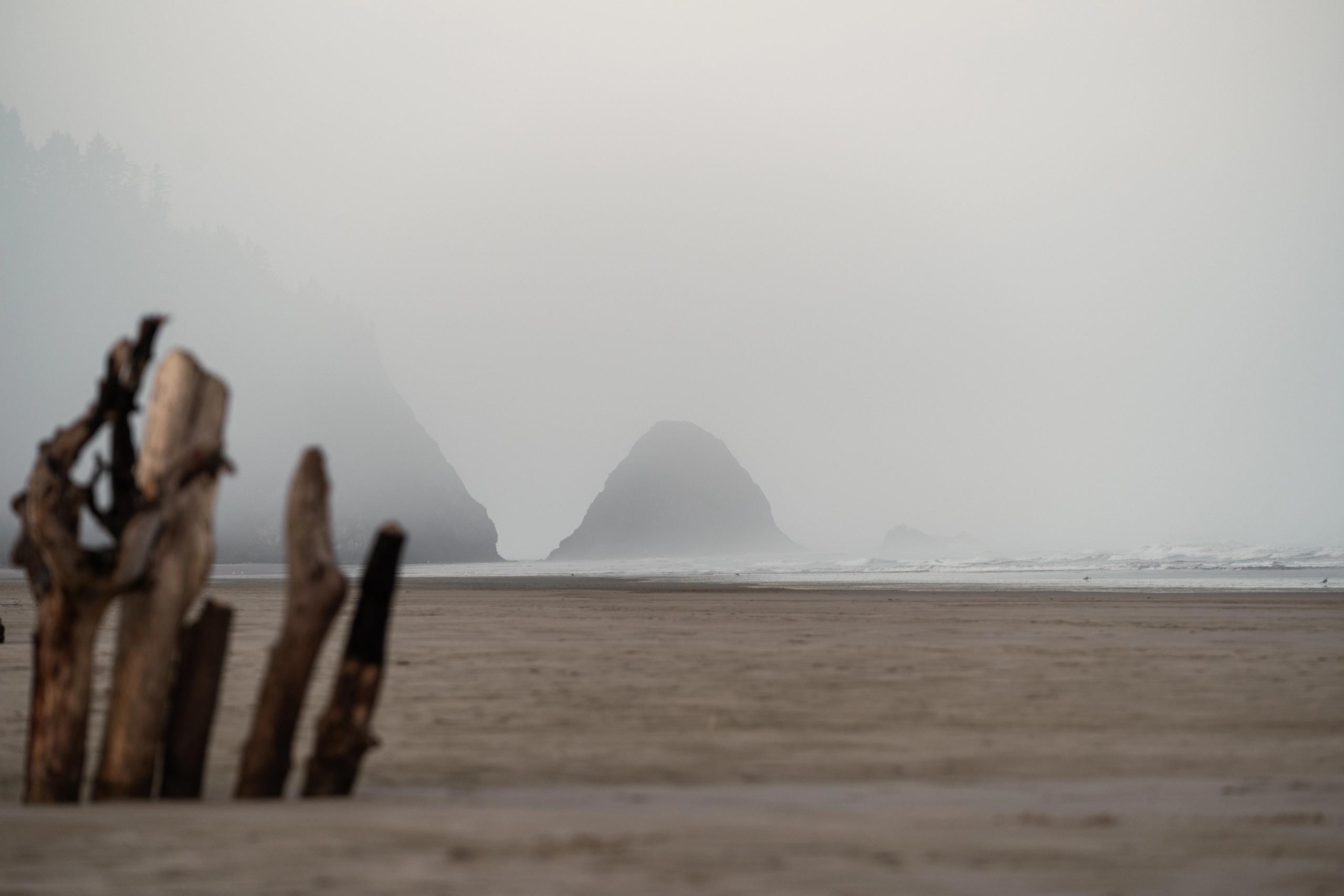 Misty coastal landscape with driftwood and rocky outcrop on beach