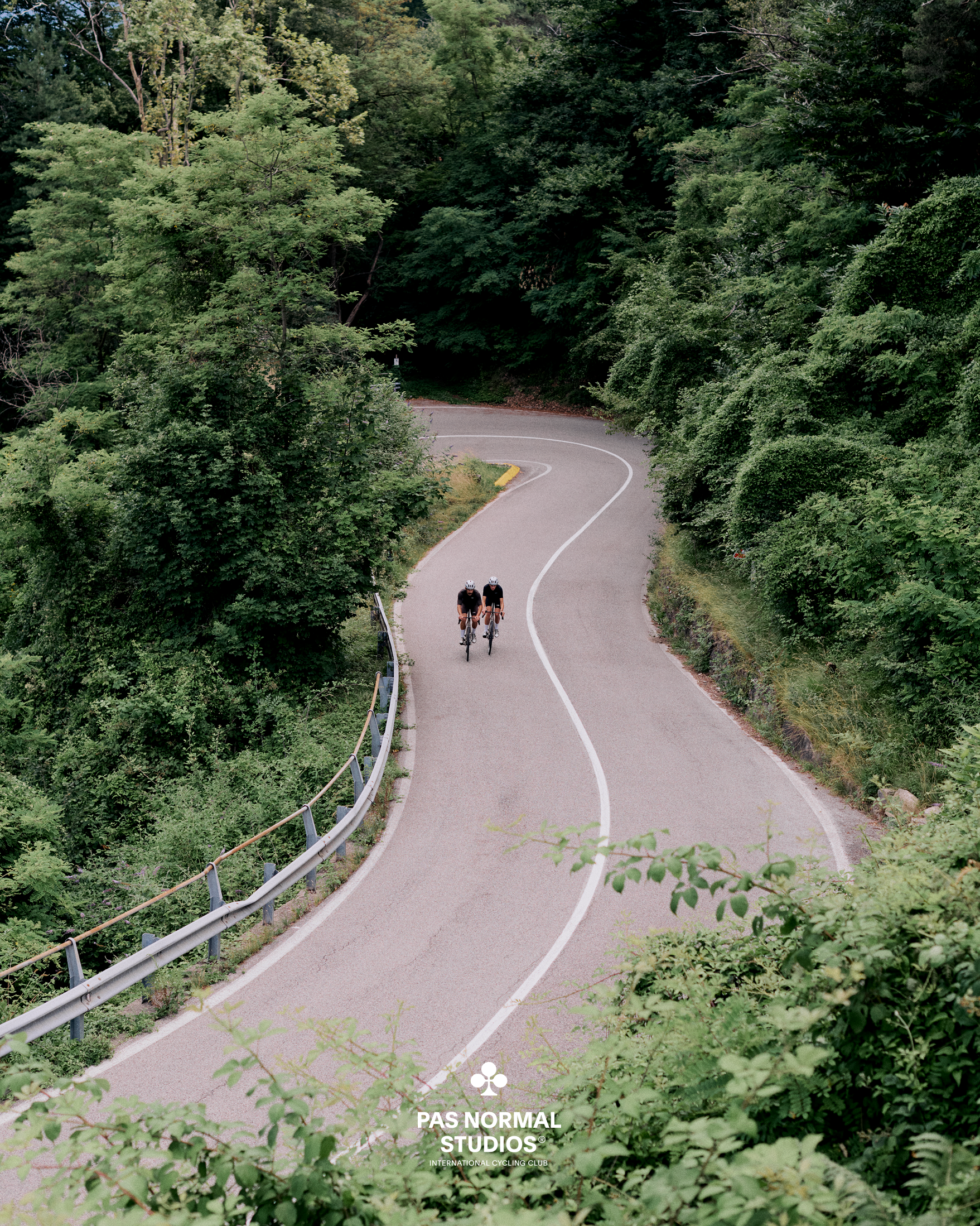 Two cyclists riding on winding forest road surrounded by green trees