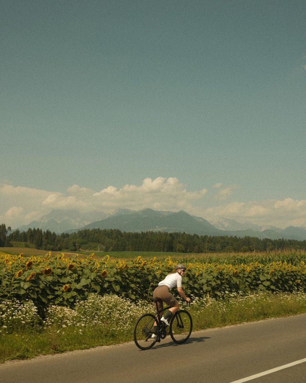 Model wearing white jersey and brown shorts cycling on rural road through sunflower fields with mountains