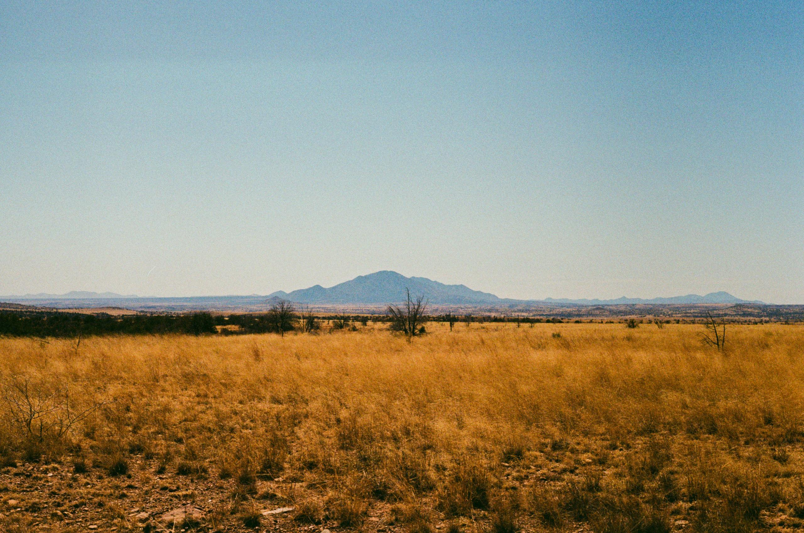 Desert landscape with golden grassland and distant mountains under blue sky