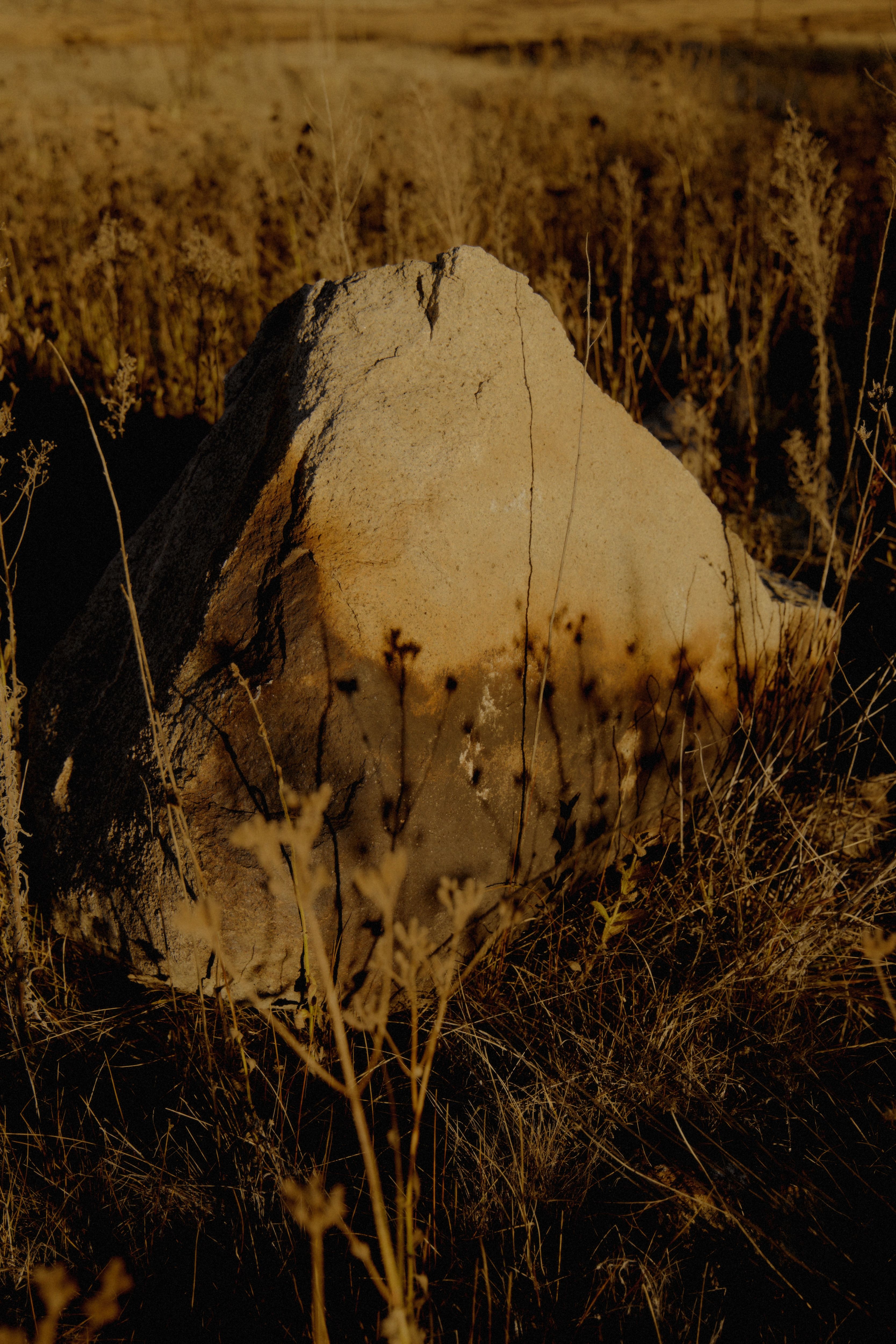 Rock formation among tall grass in golden autumn light