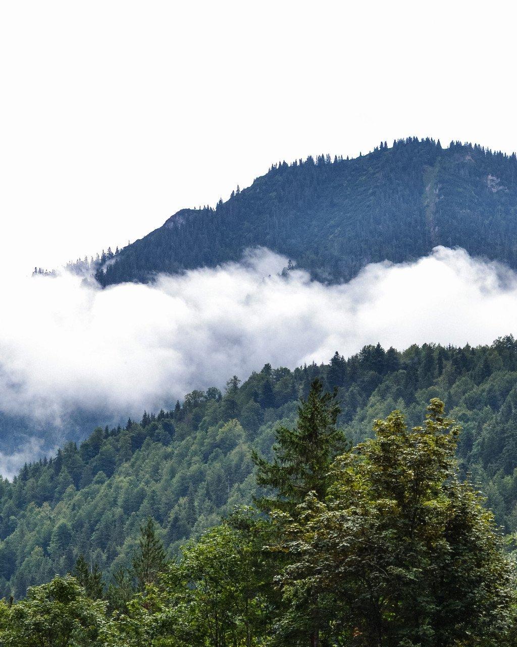 Mountain landscape with forested hills and low clouds in valley