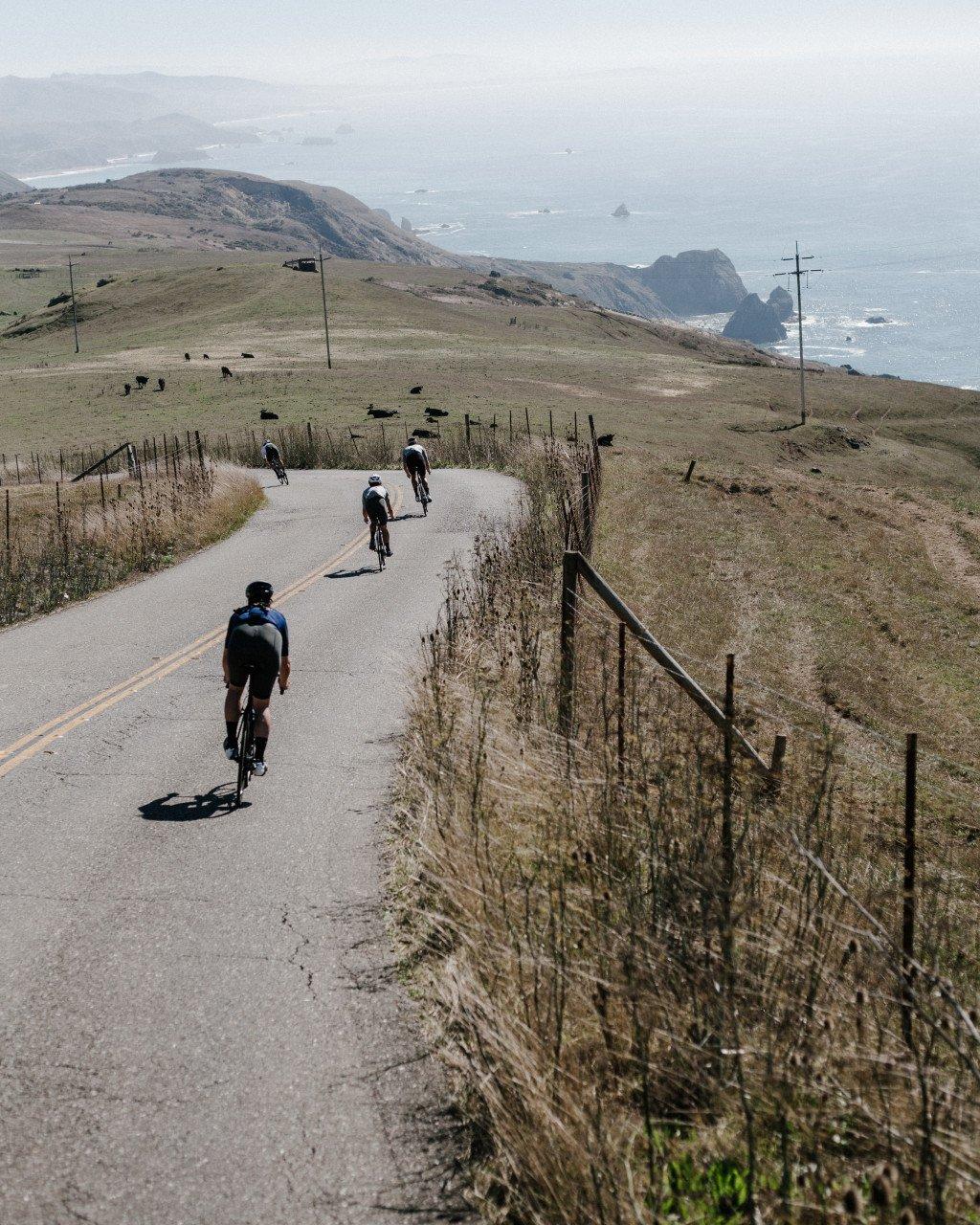 Cyclists riding coastal road through rural landscape with ocean views