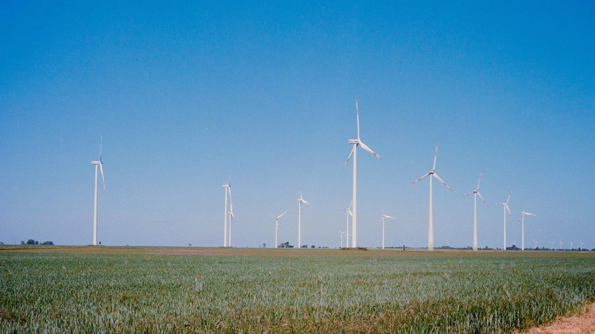 Wind turbines across rural landscape with crop fields under blue sky