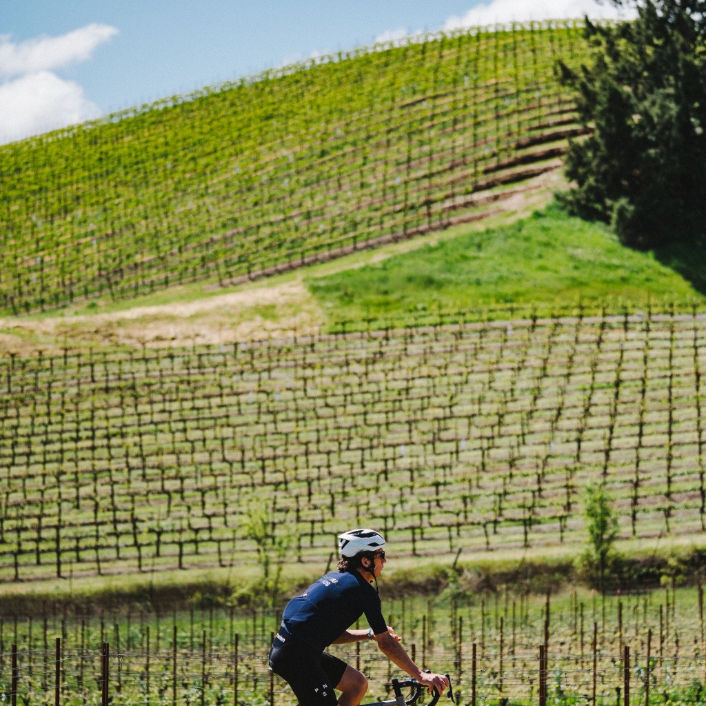 Cyclist riding through vineyard landscape in Sonoma, California