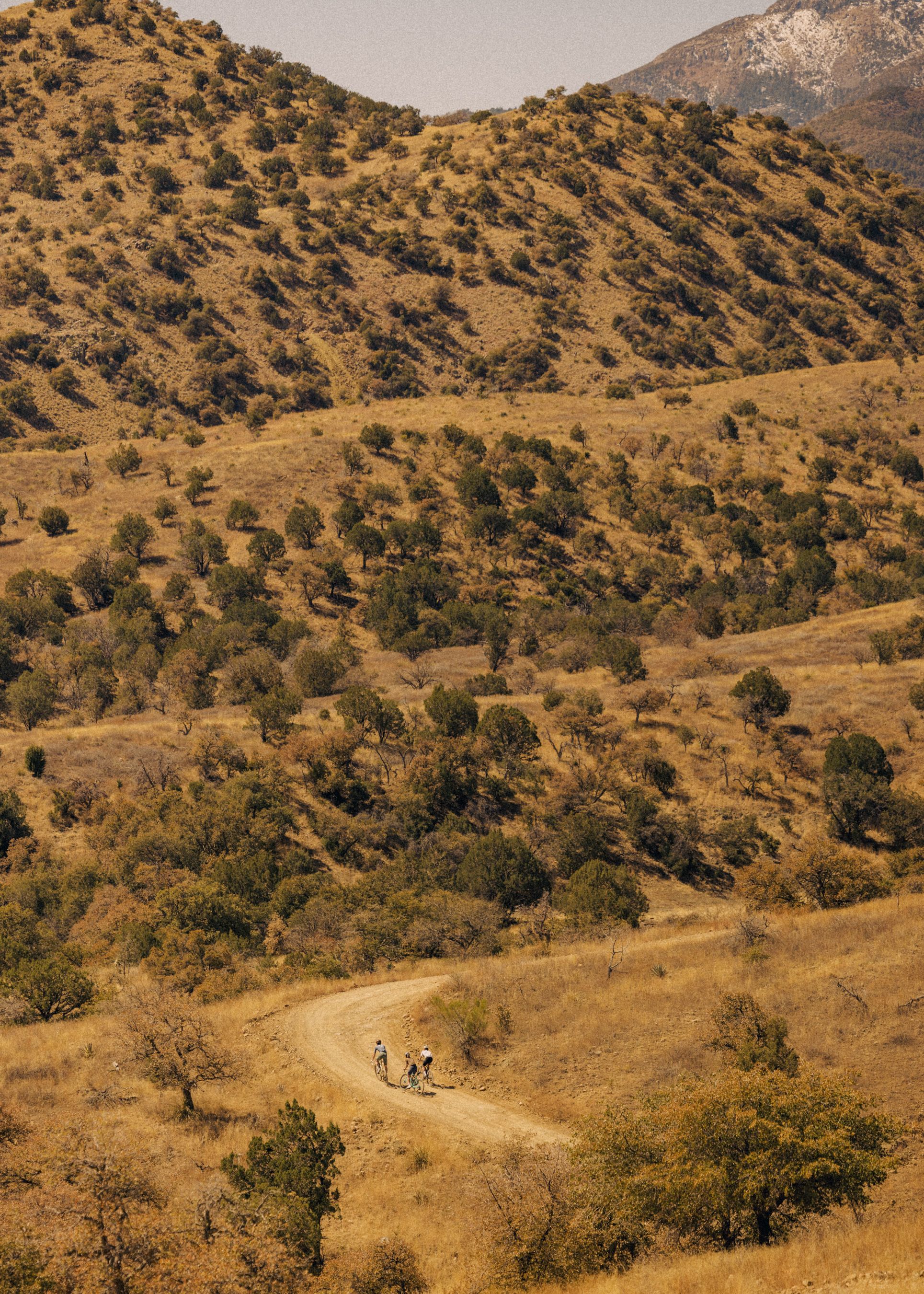 Two cyclists riding on dirt road through golden hills and desert landscape