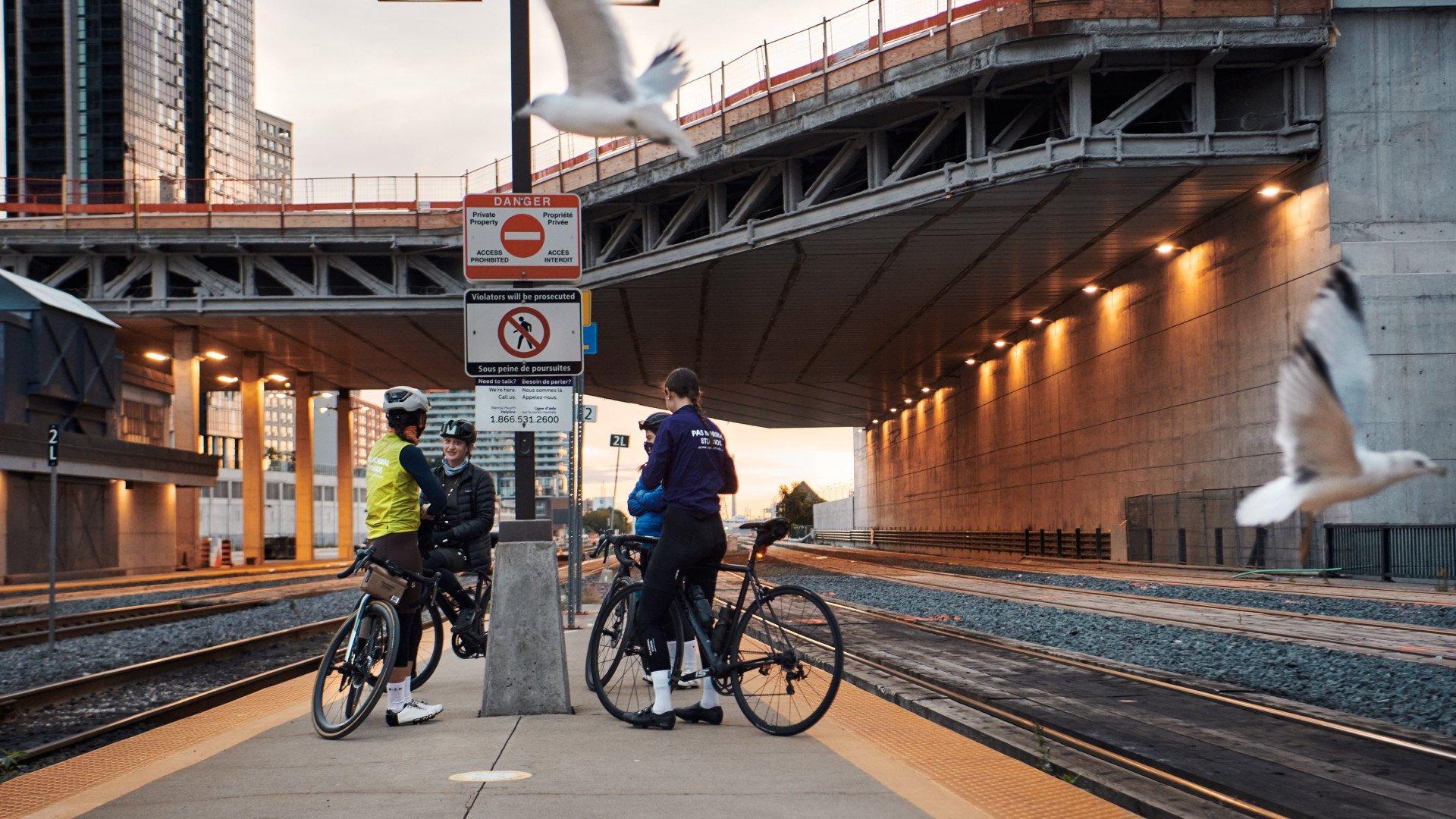 Two cyclists with bikes pausing at urban bridge underpass at dusk with seagulls flying overhead