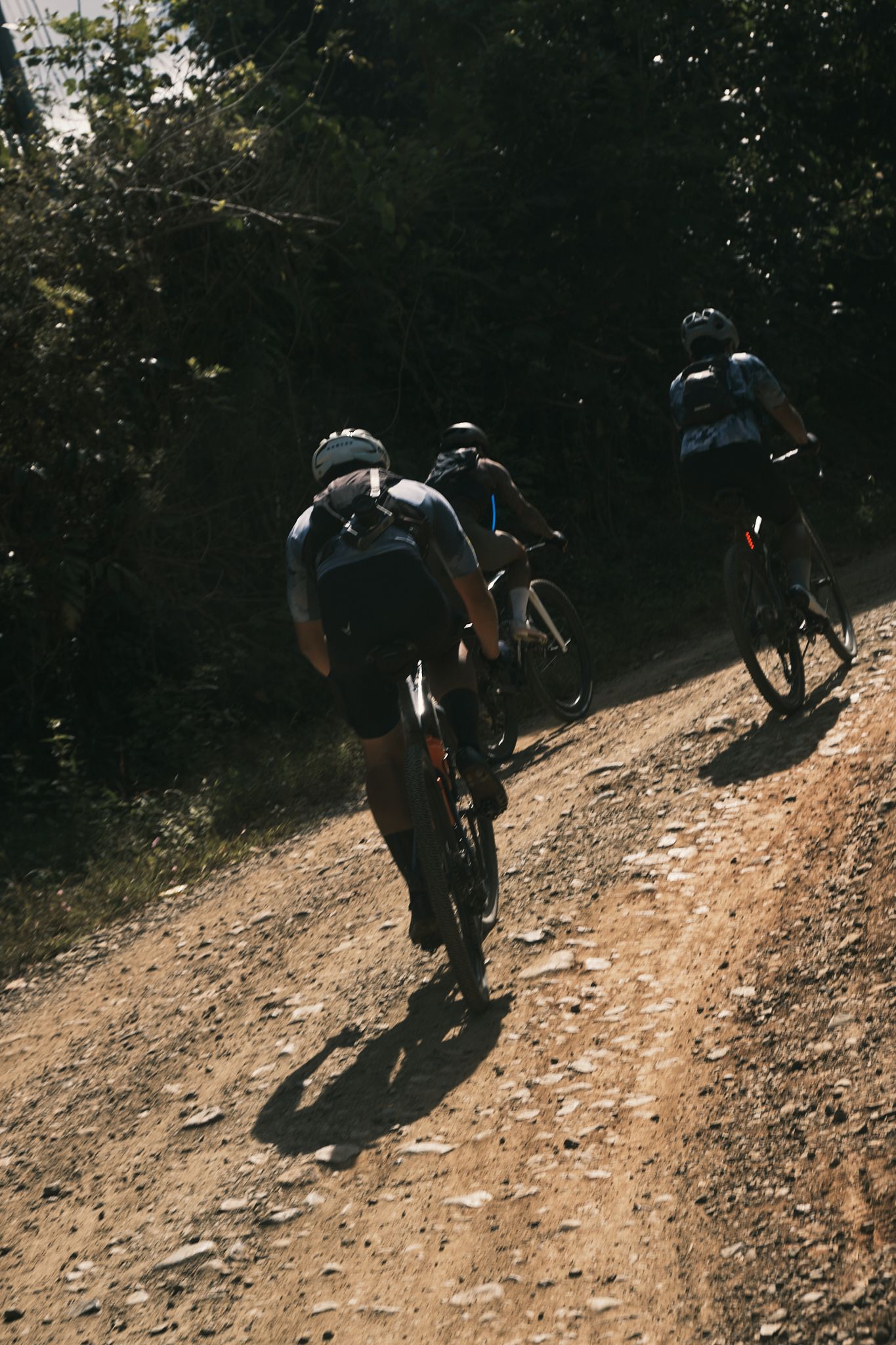 Cyclists riding on dirt trail through wooded terrain