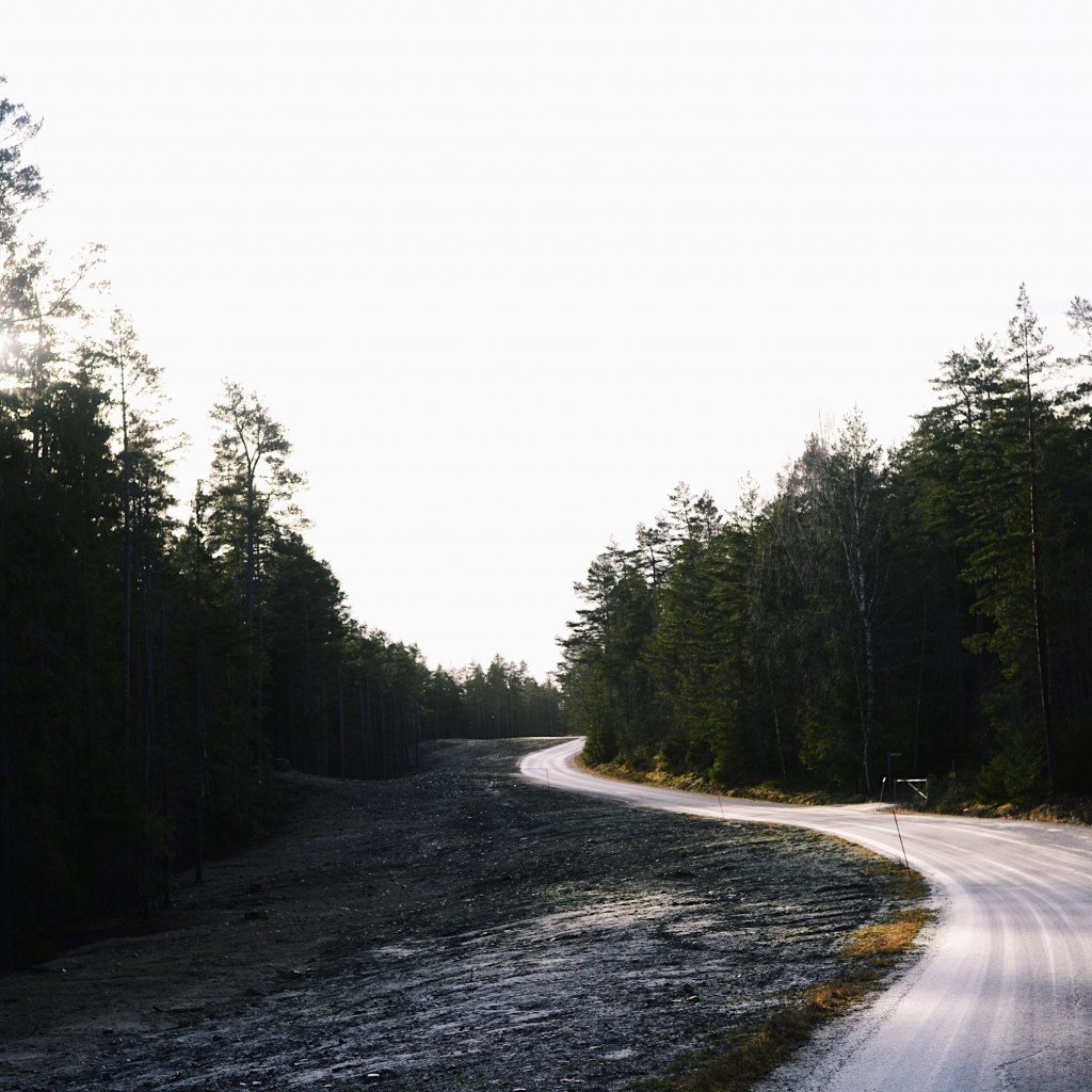Empty forest road winding through dense woodland under overcast sky