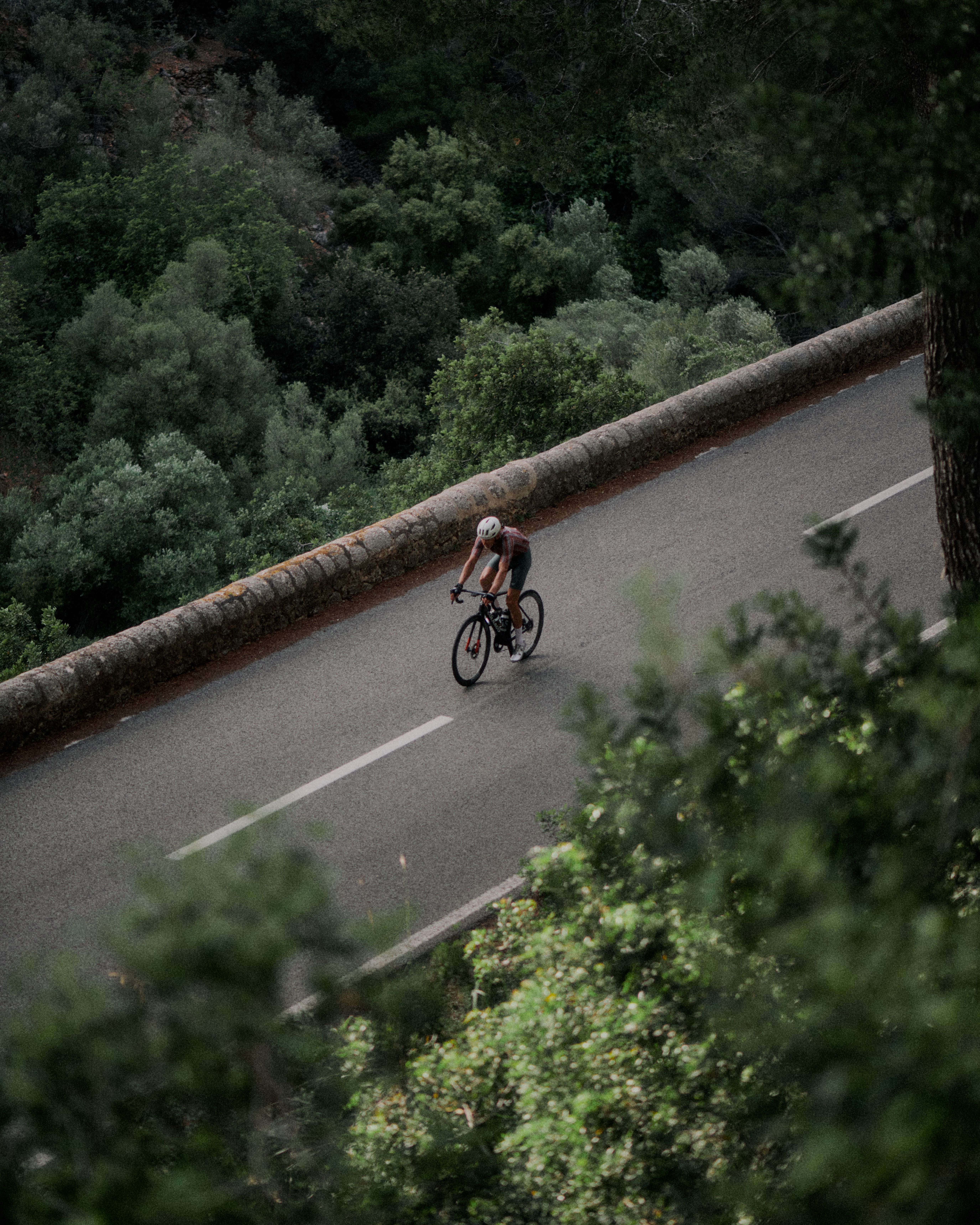Cyclist in aerodynamic position on mountain road surrounded by lush green forest