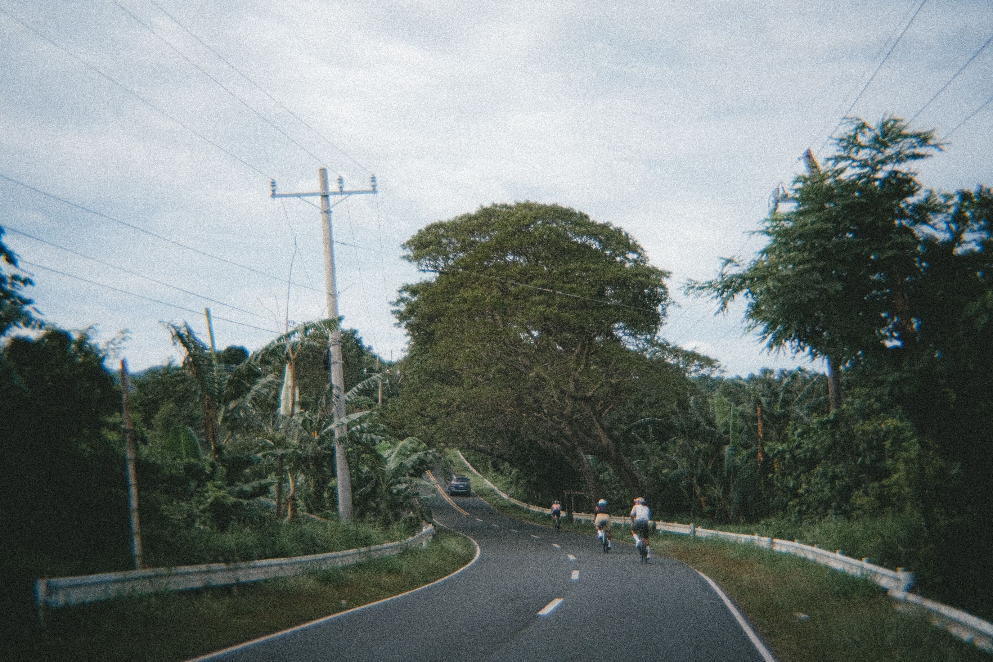 Cyclists riding on winding rural road surrounded by lush green trees and power lines