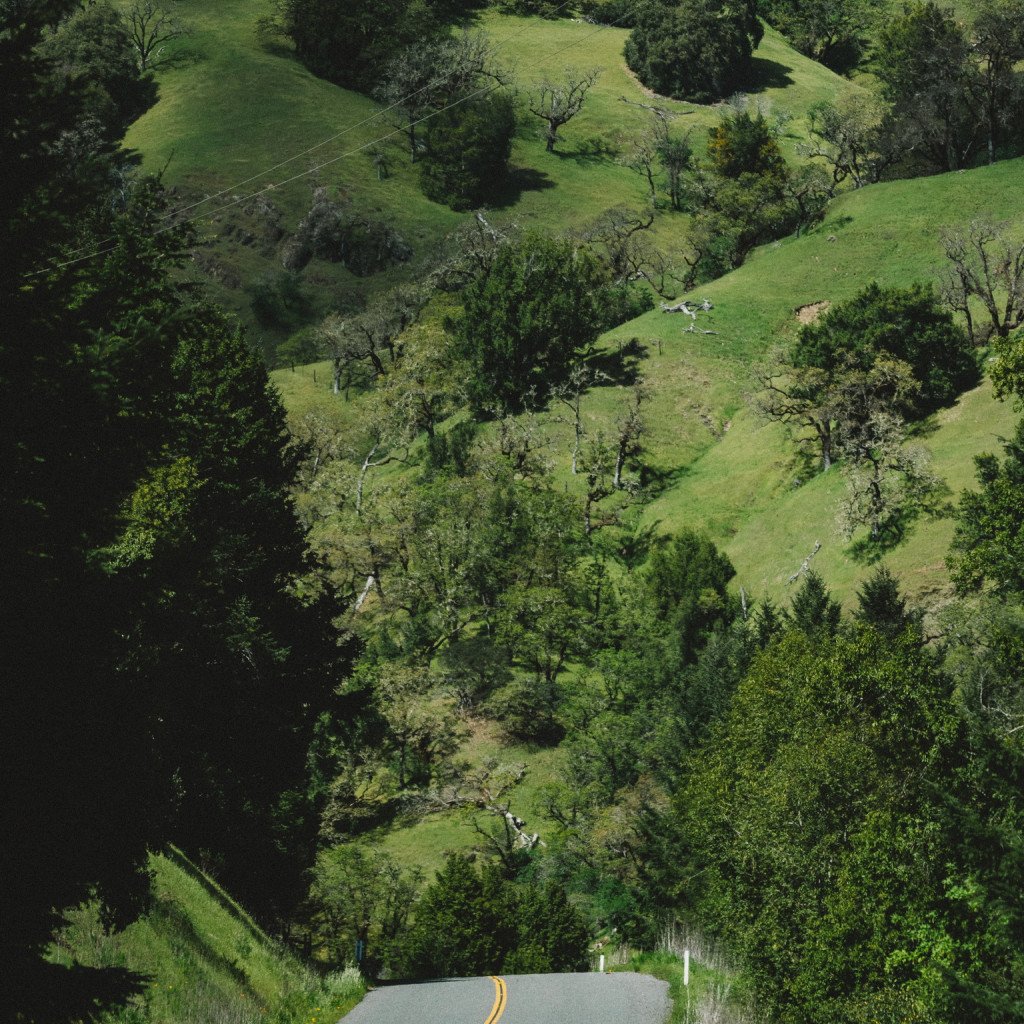 Aerial view of winding road through green rolling hills and forest landscape in Sonoma, California