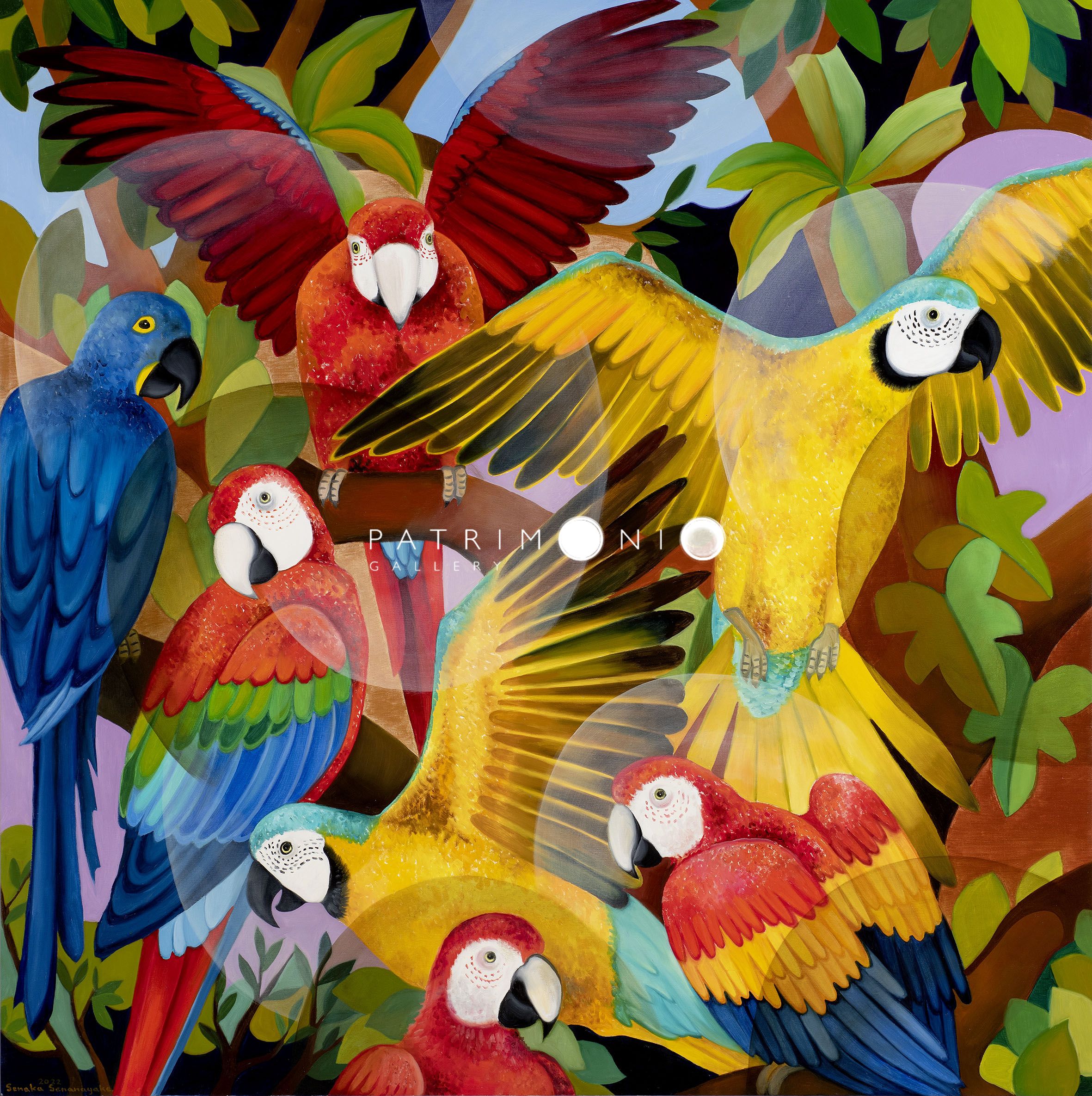 Macaws