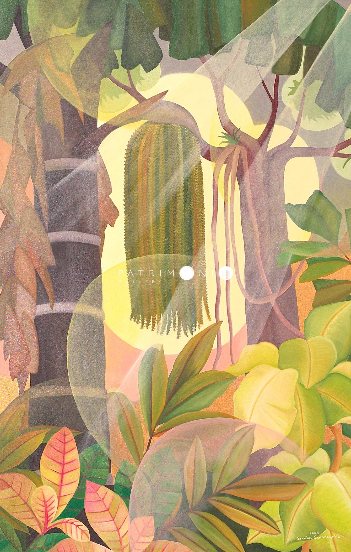 Early Morning In The Rainforest