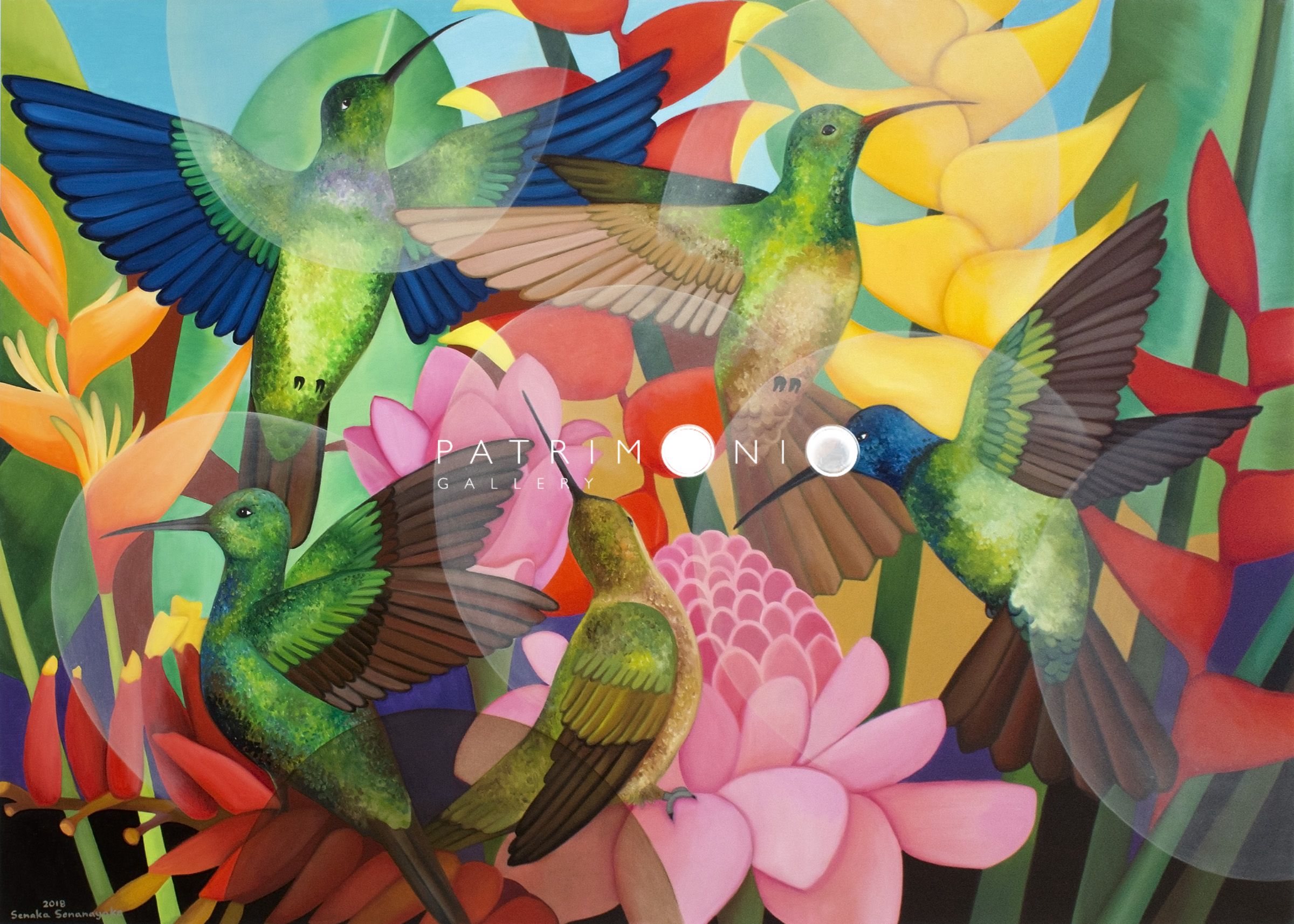 Hummingbirds Paradise