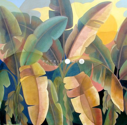 Banana Grove At Sunset