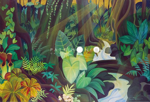 Splendour Of The Rainforest