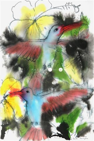 Sunbird With Shoe-flower