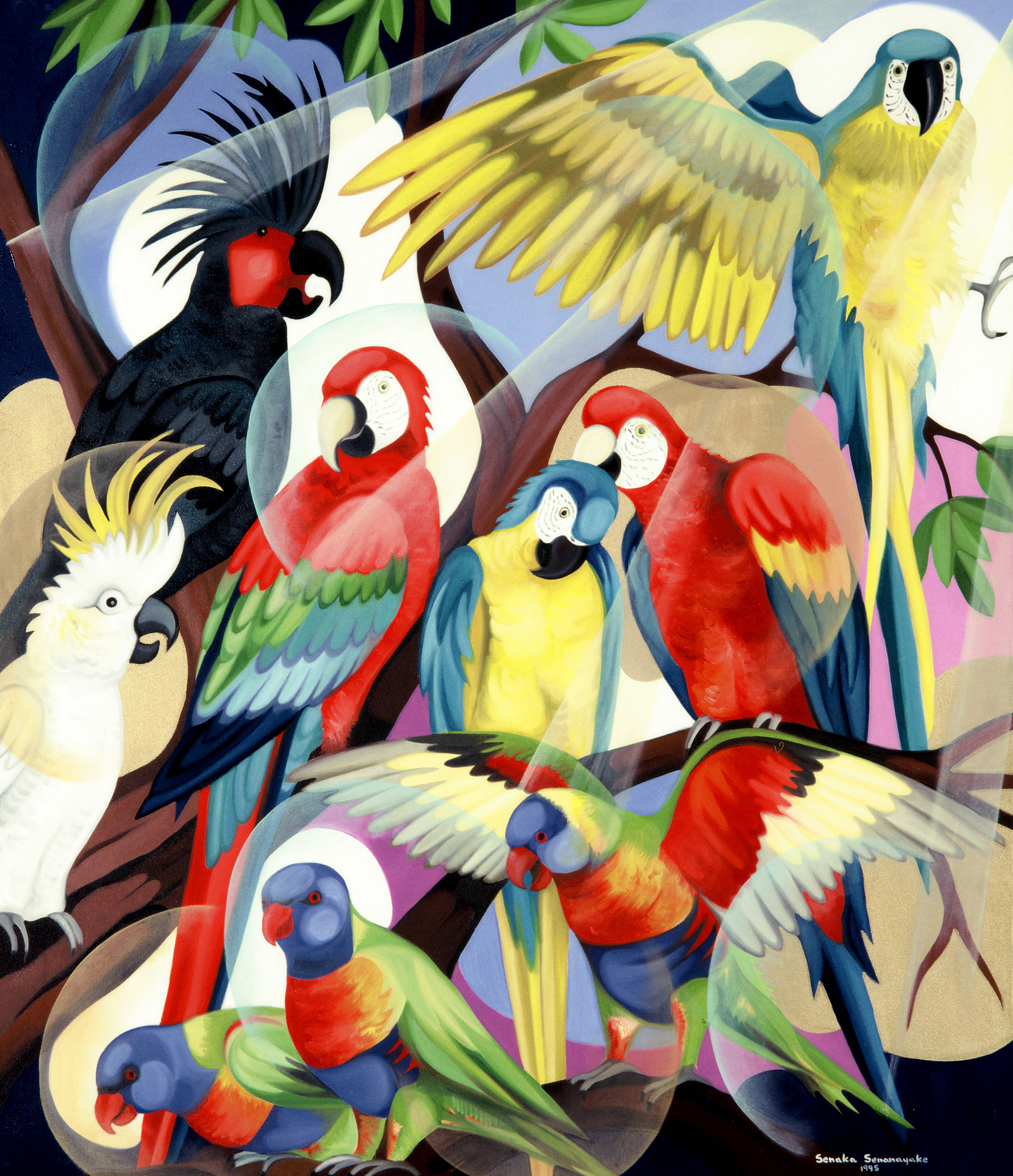 Tropical Birds