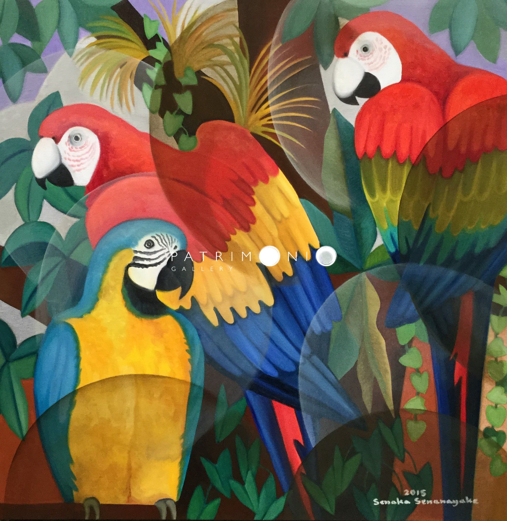Macaws
