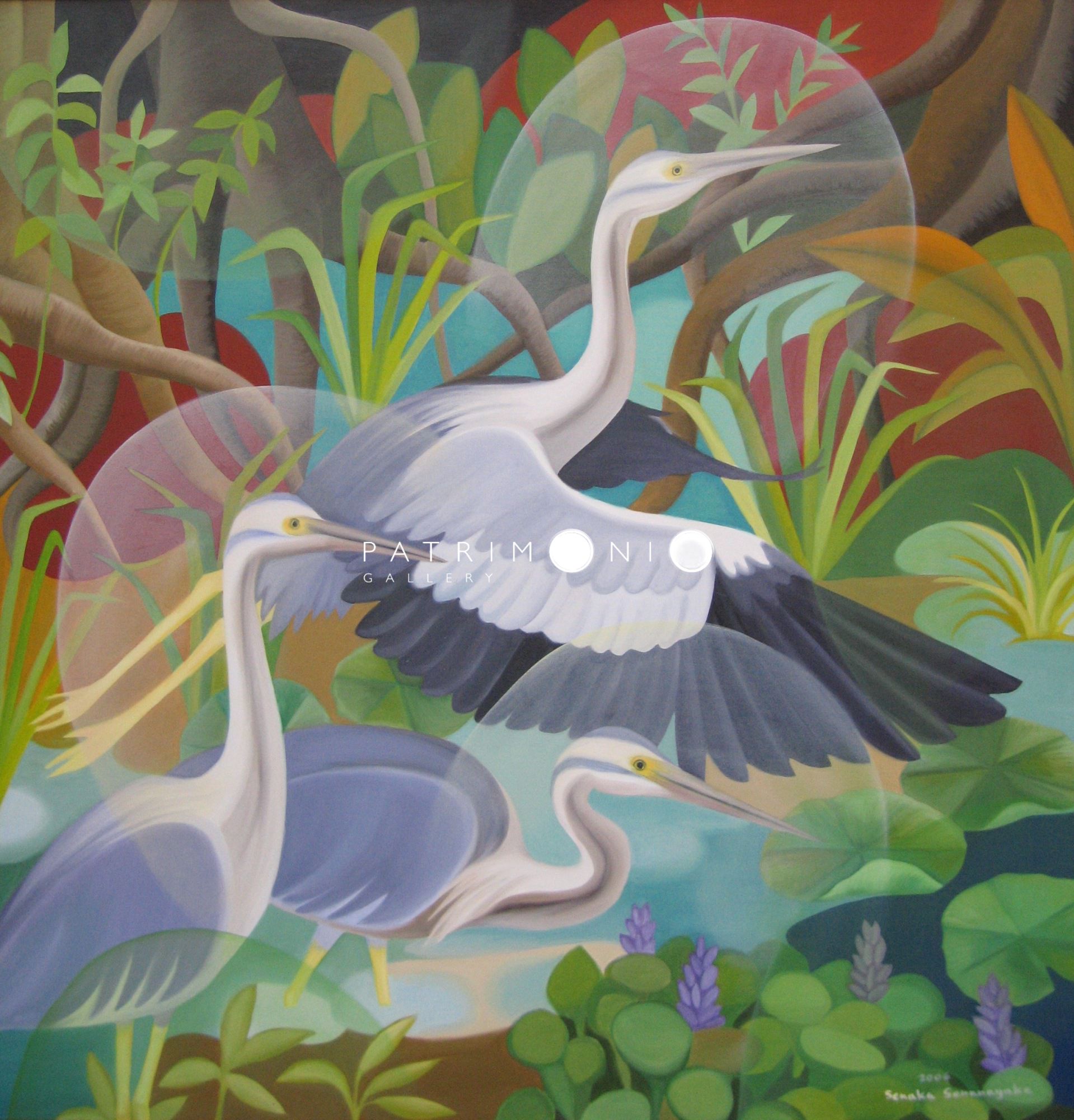 Marsh Heron Of The Rainforest