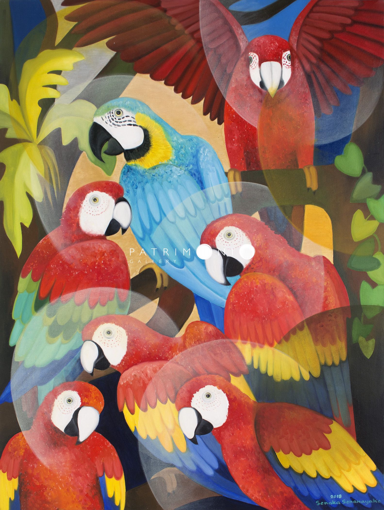 Macaws