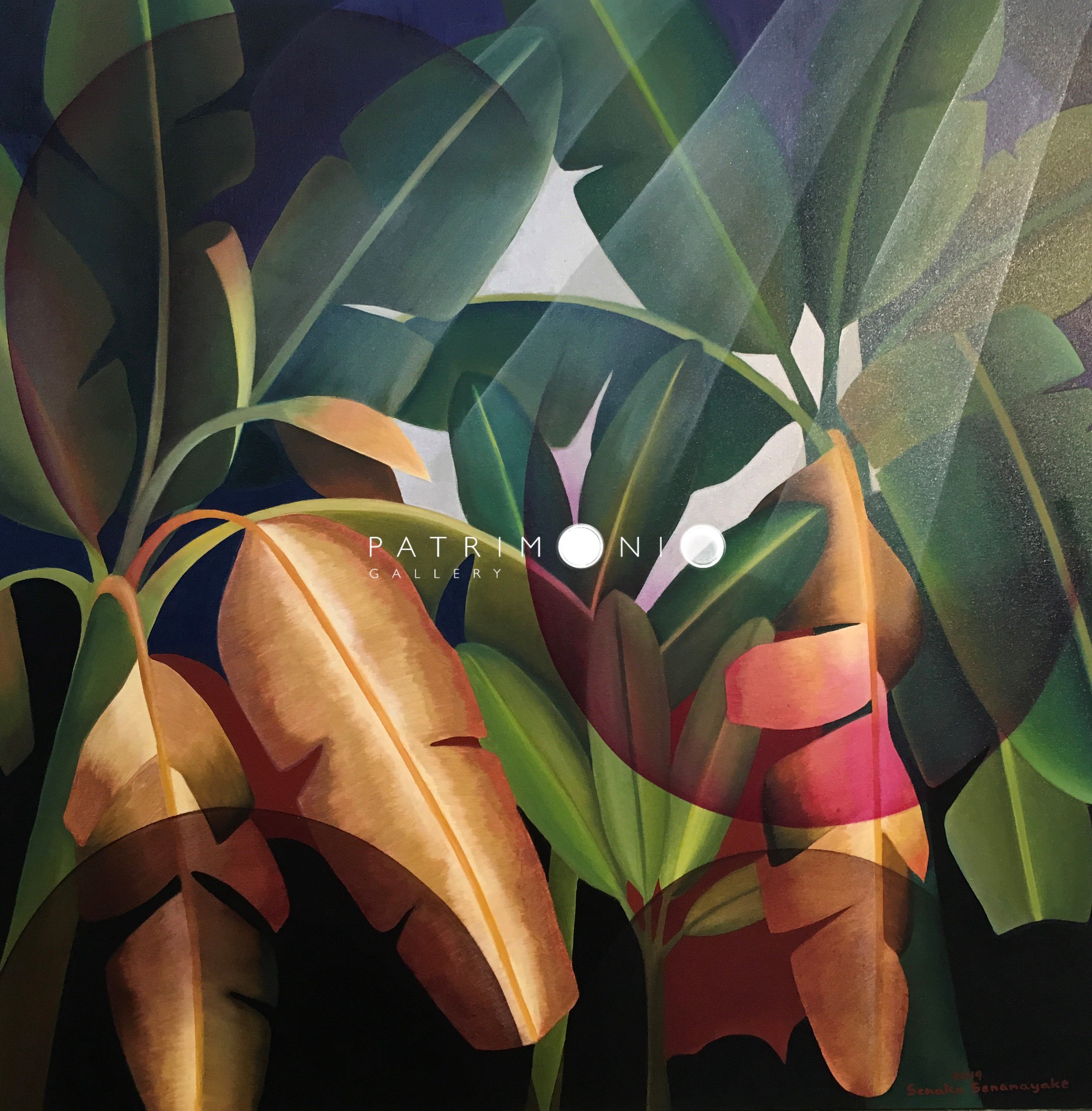 Midnight Banana Grove