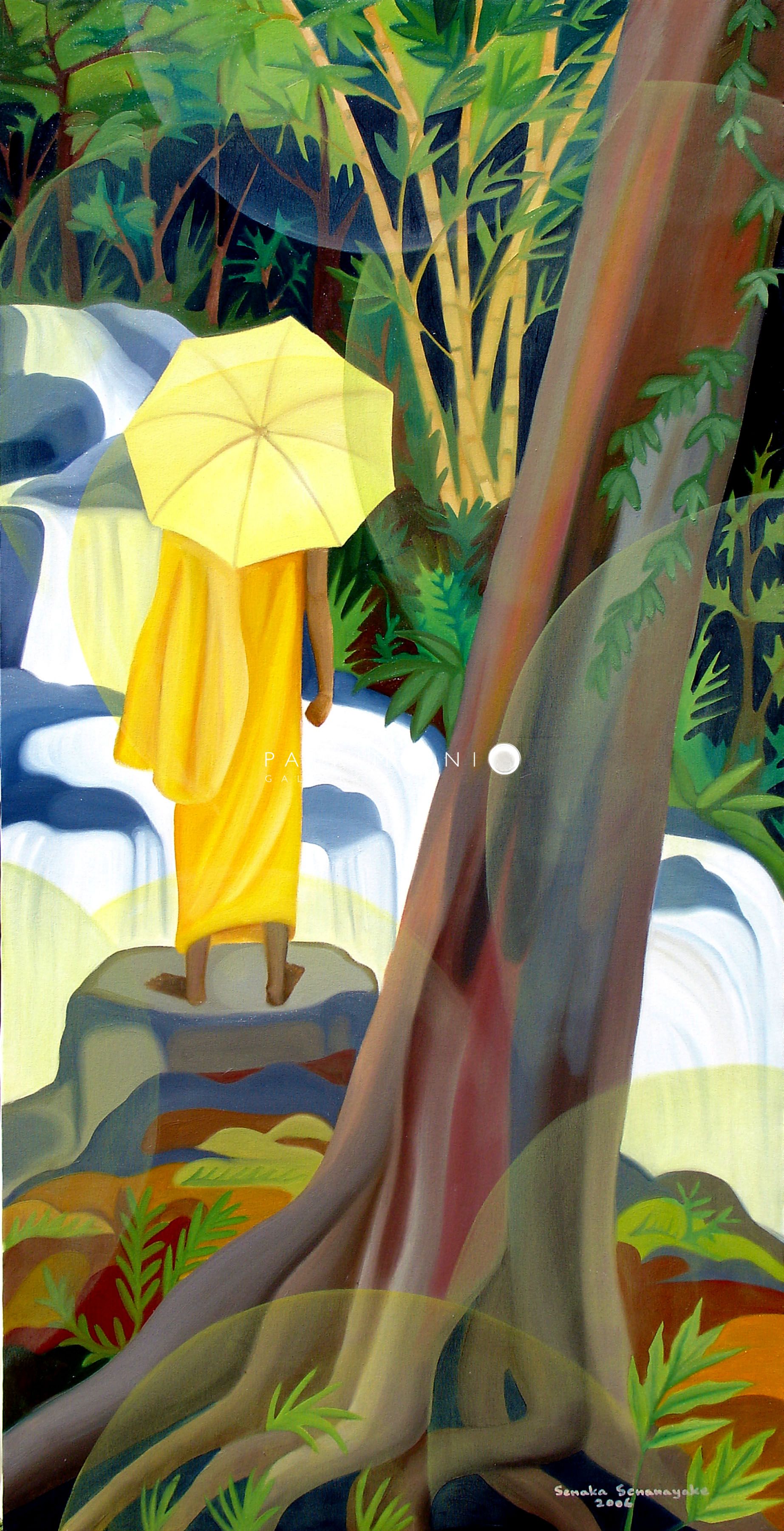 Monk In The Rainforest