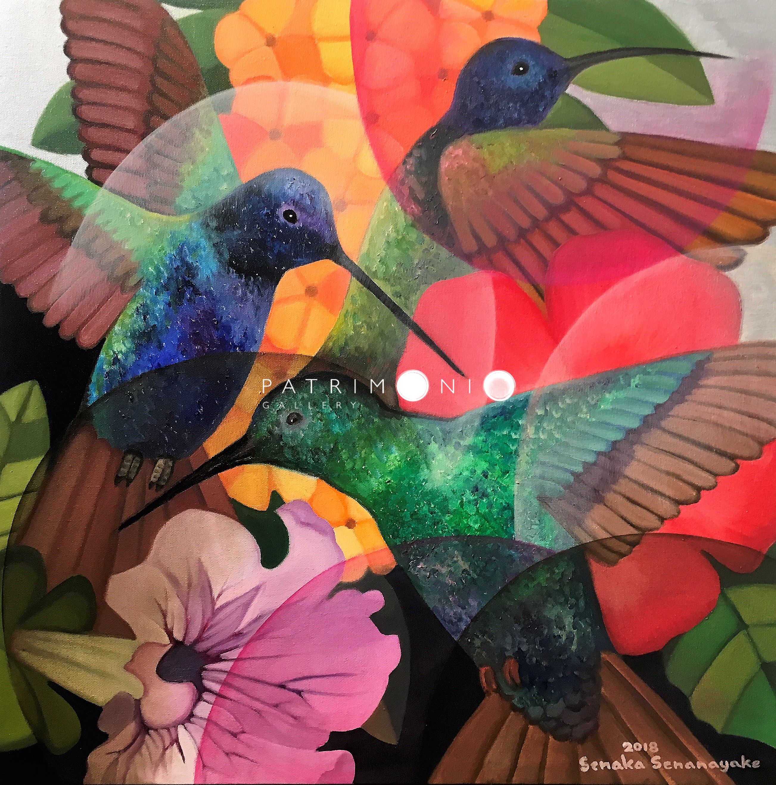 Dancing Hummingbirds