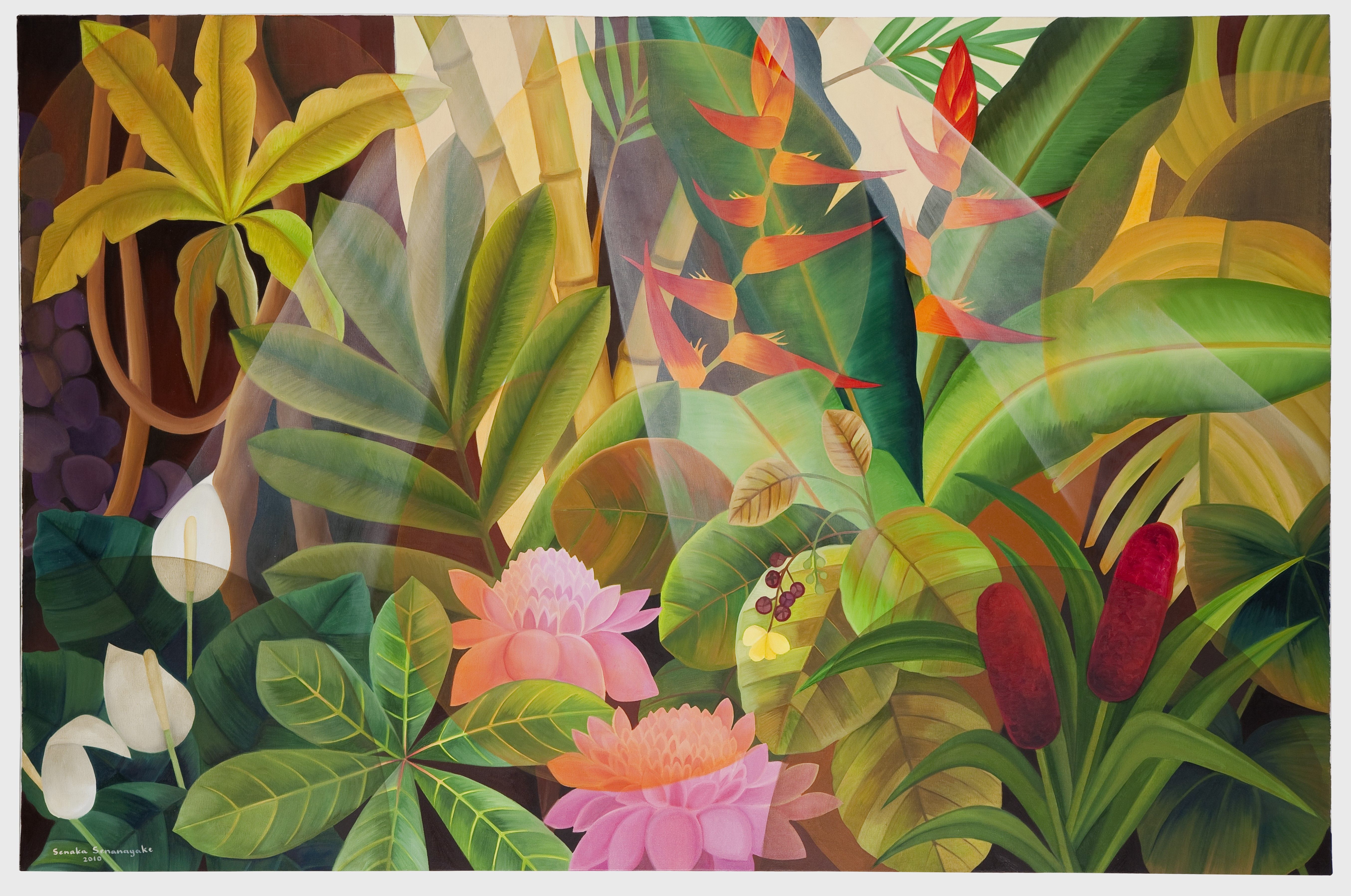 Glorious Rainforests