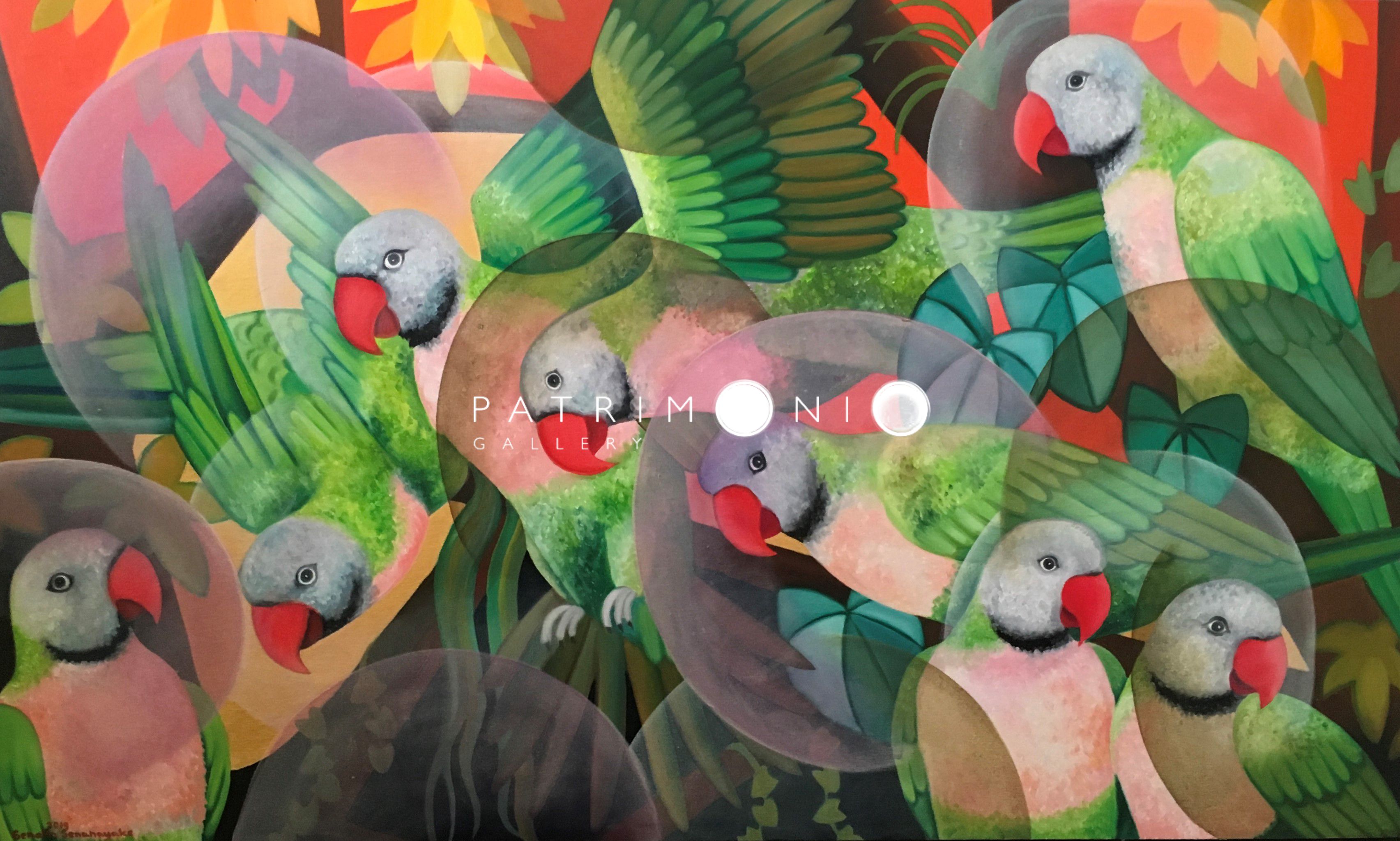 Parrots